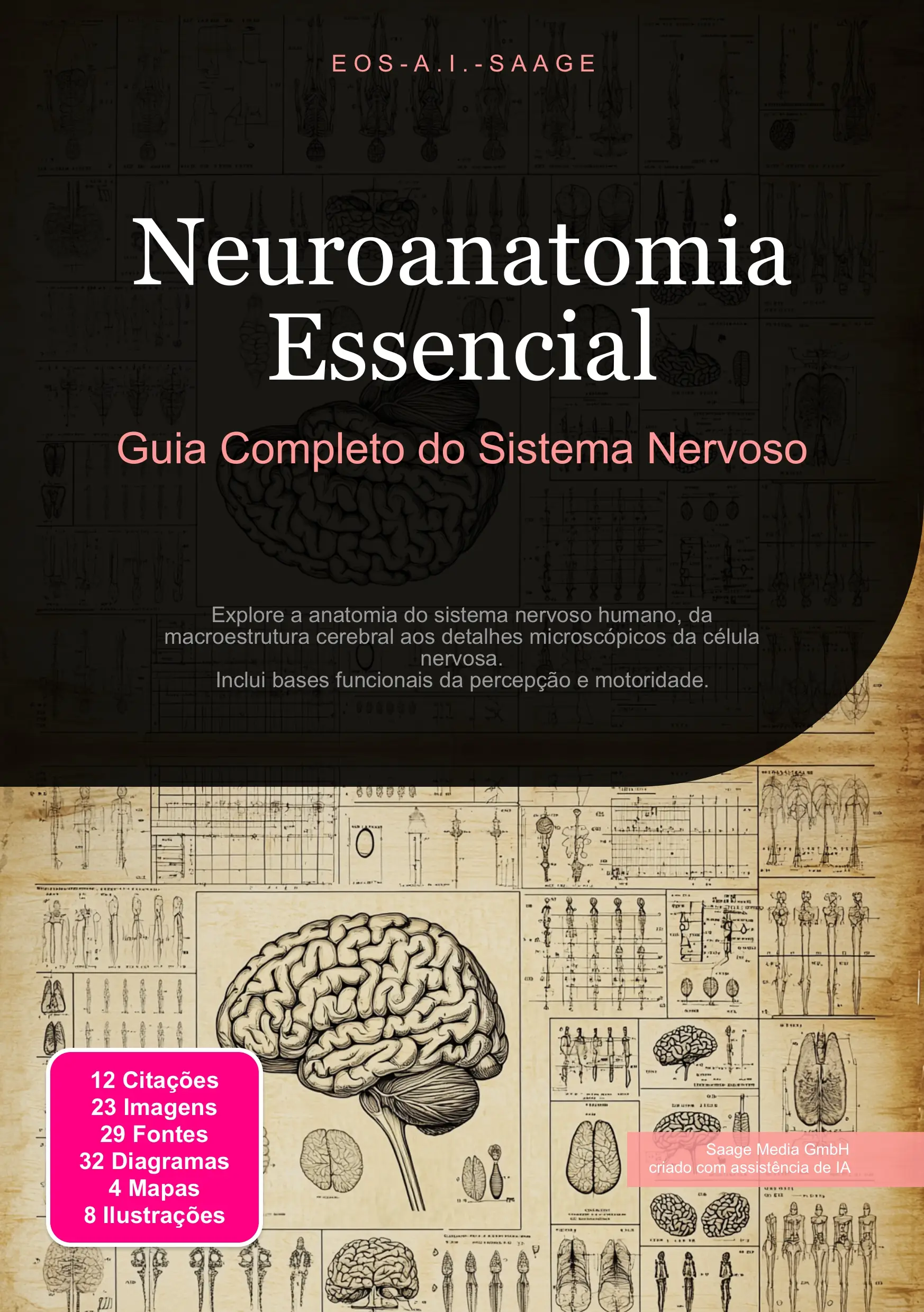 Neuroanatomia Essencial