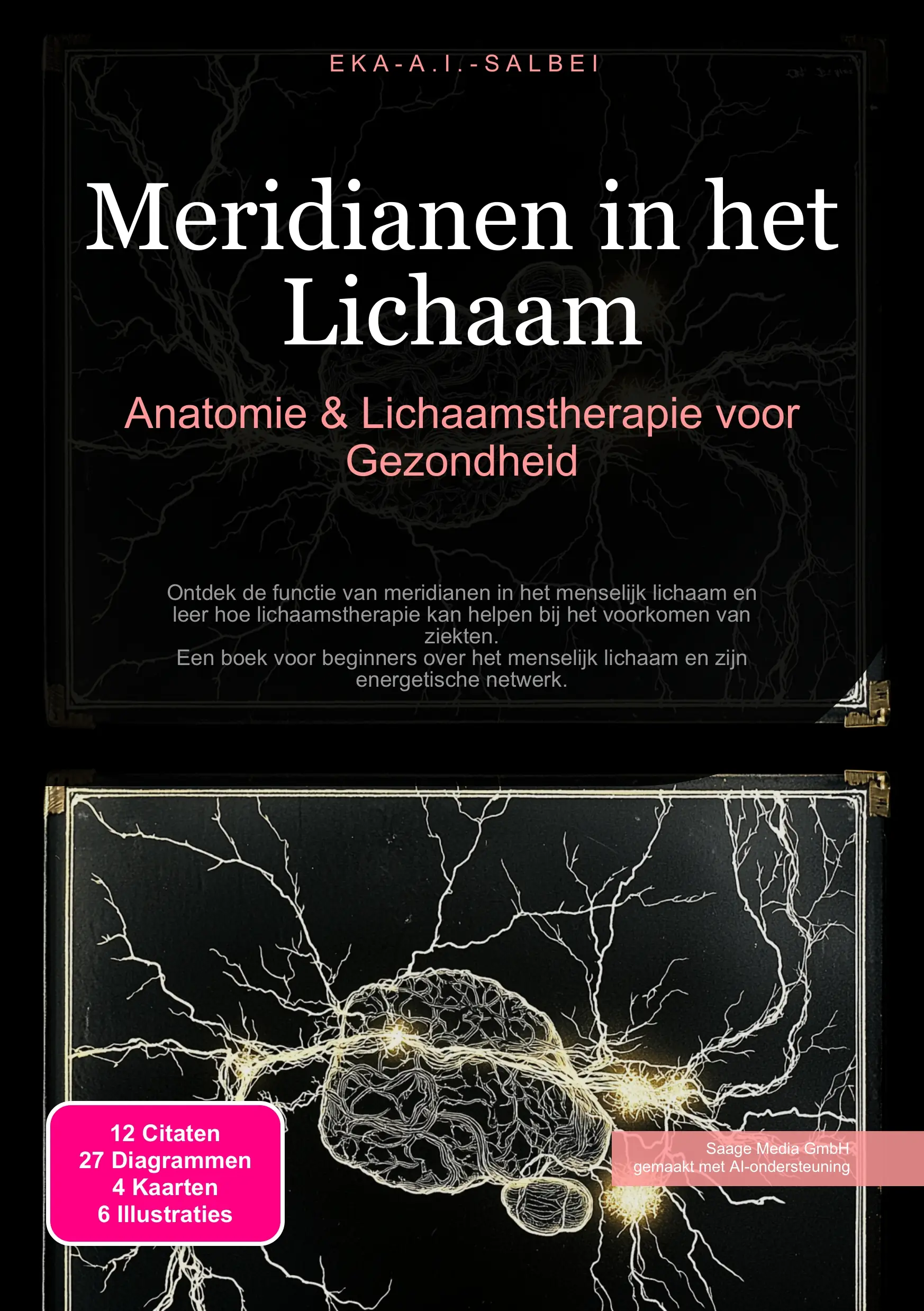 Meridianen in het Lichaam
