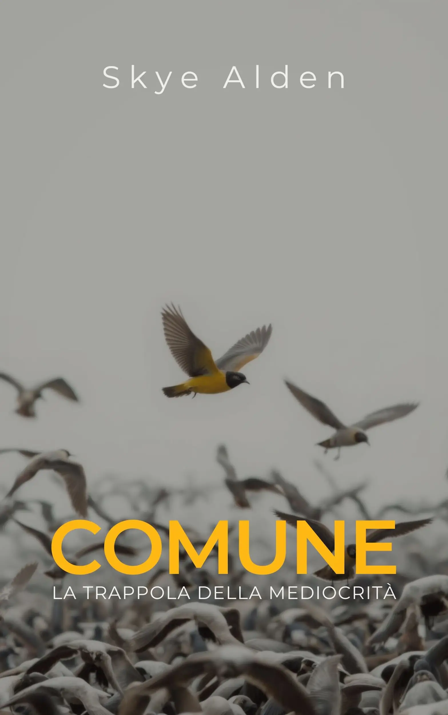 Comune