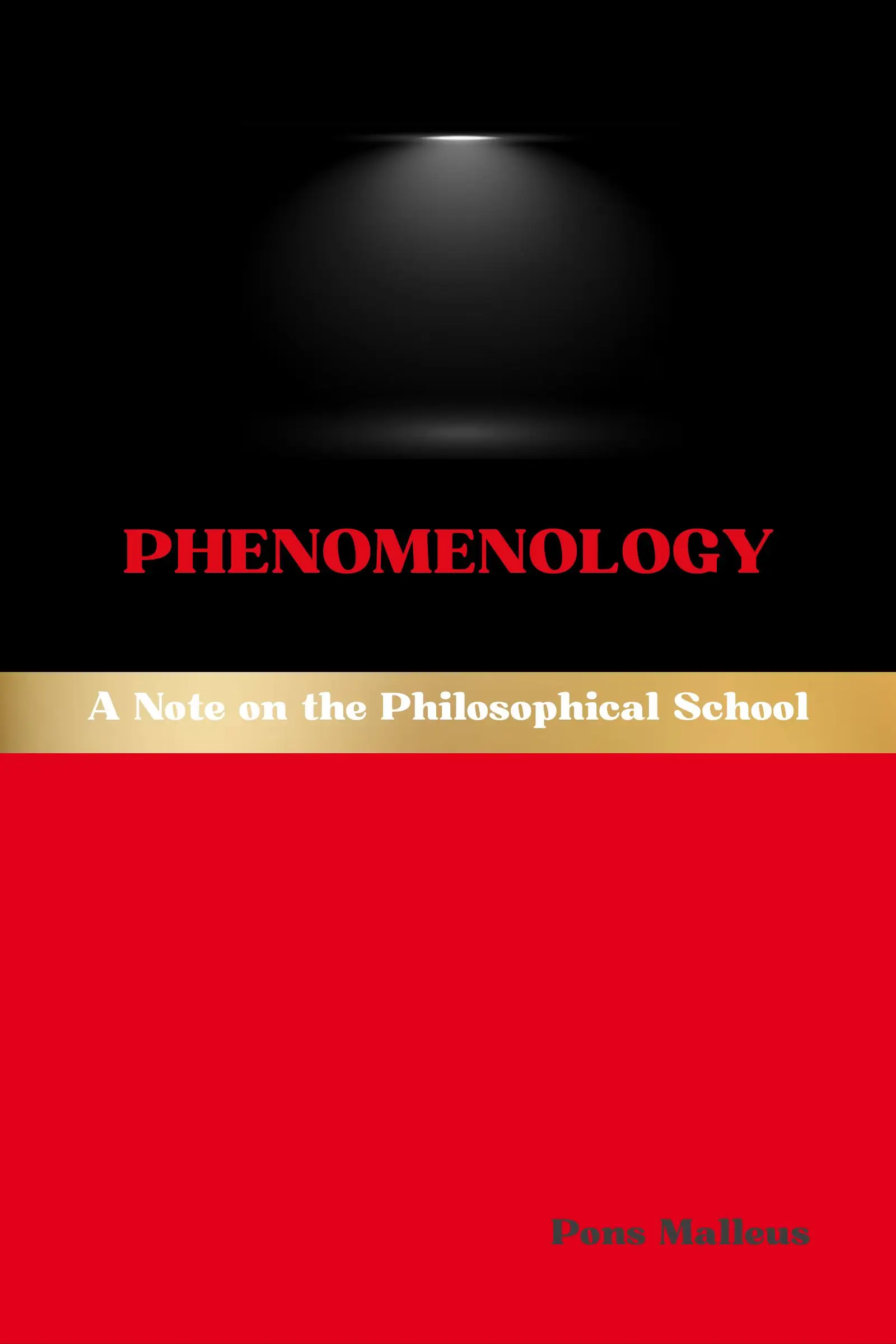 Phenomenology