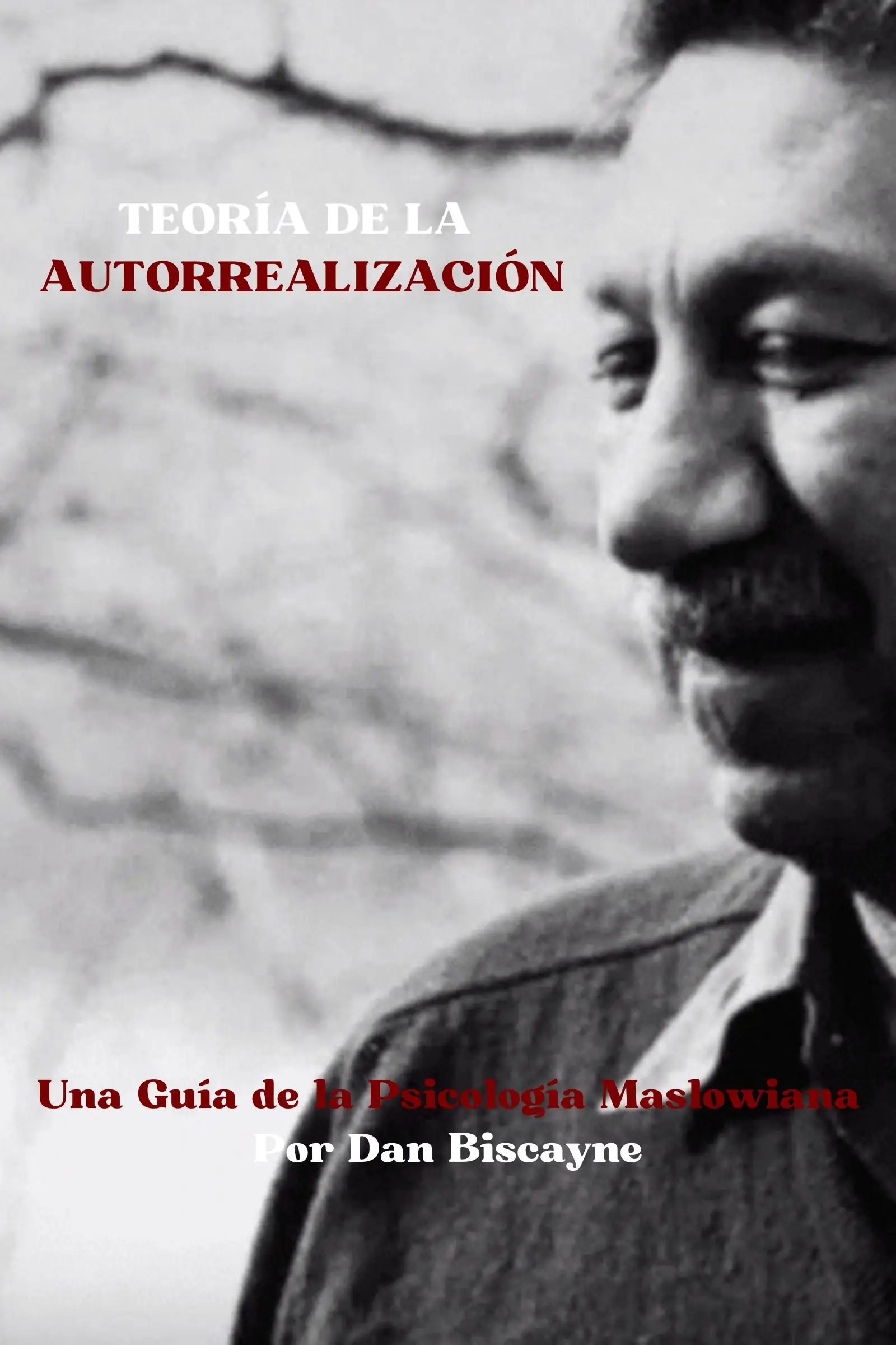 Teoría de la Autorrealización