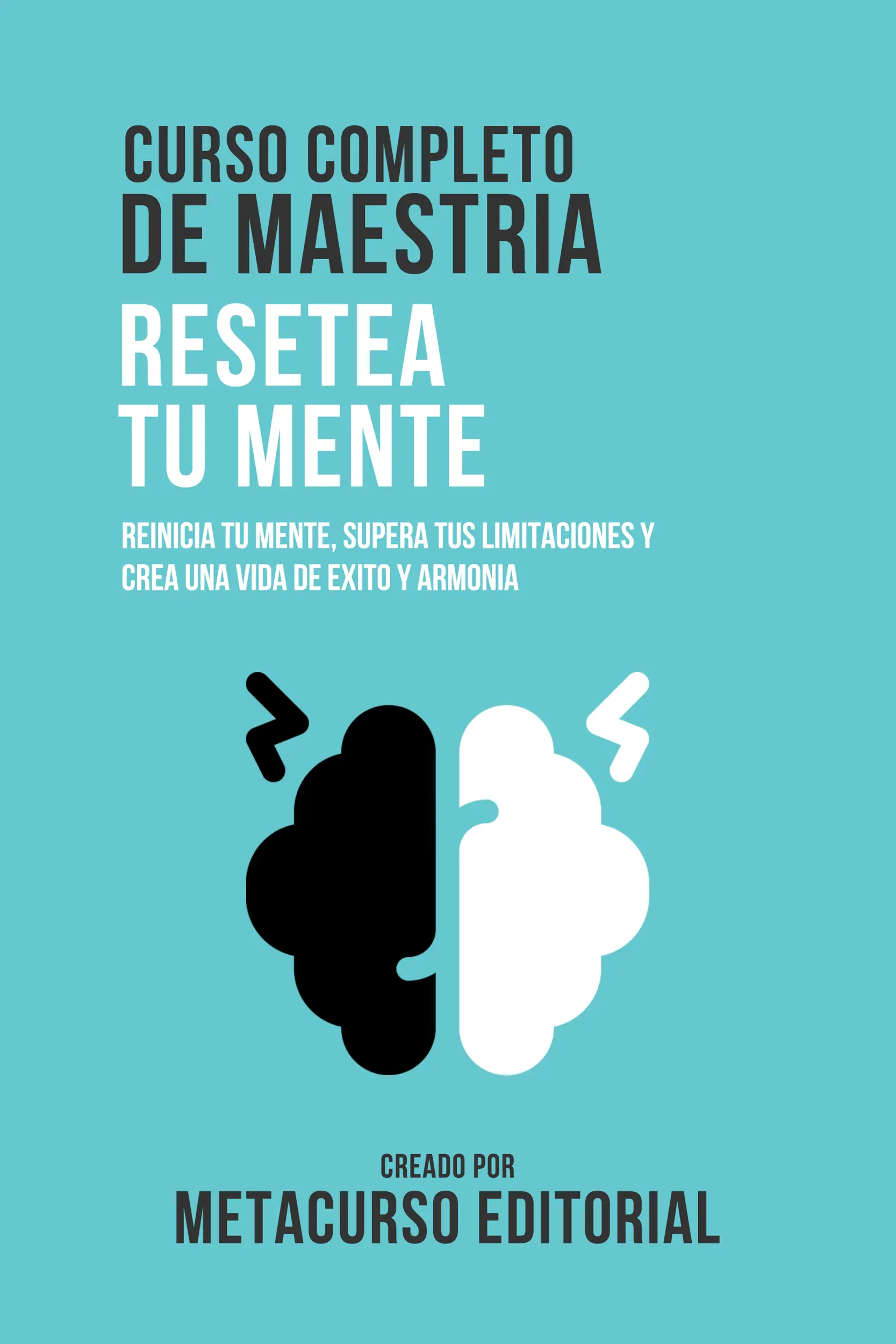 Curso Completo De Maestria Resetea Tu Mente