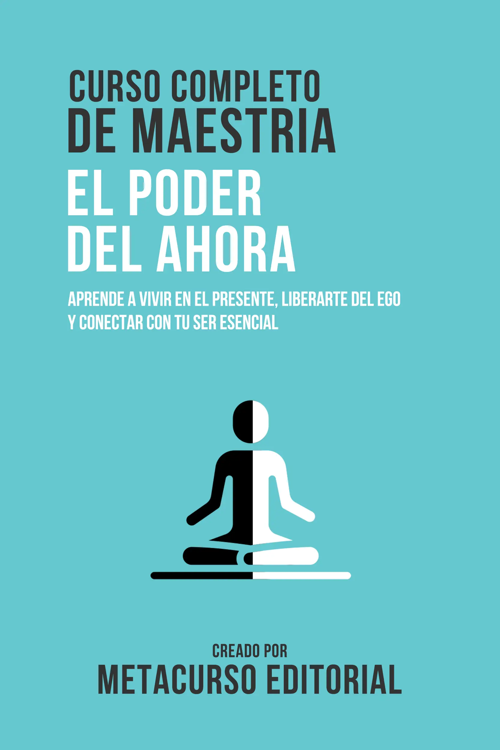 Curso Completo De Maestria El Poder Del Ahora