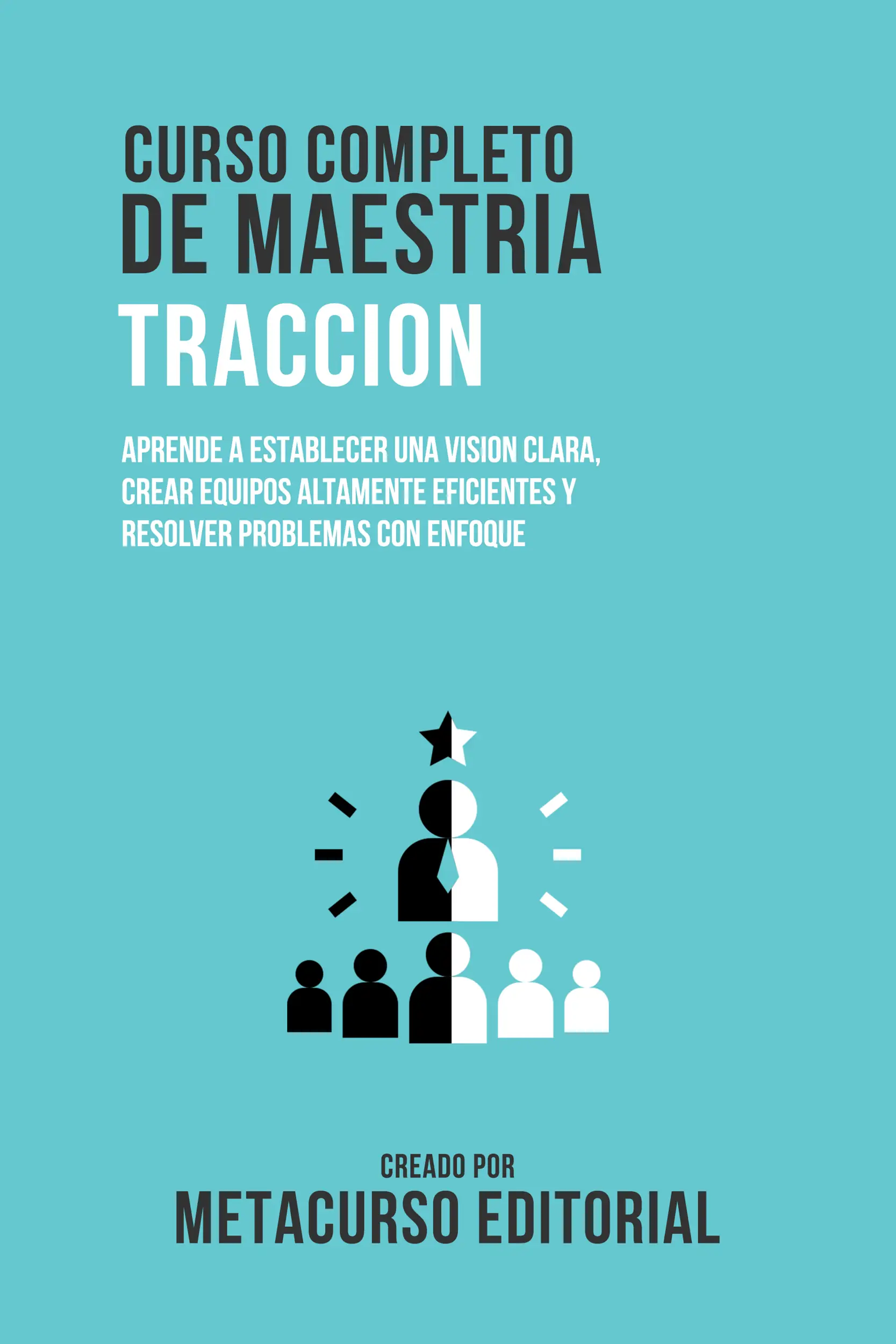 Curso Completo De Maestria Traccion