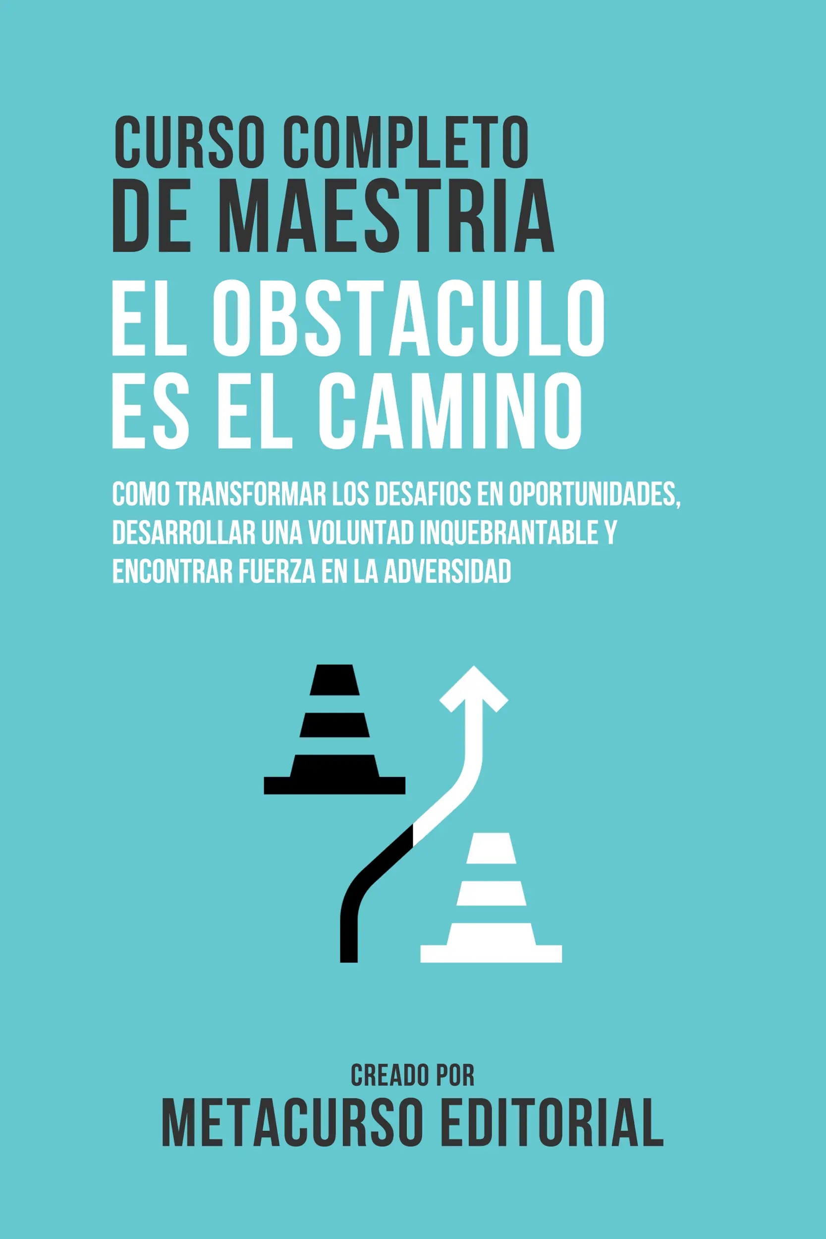 Curso Completo De Maestria El Obstaculo Es El Camino