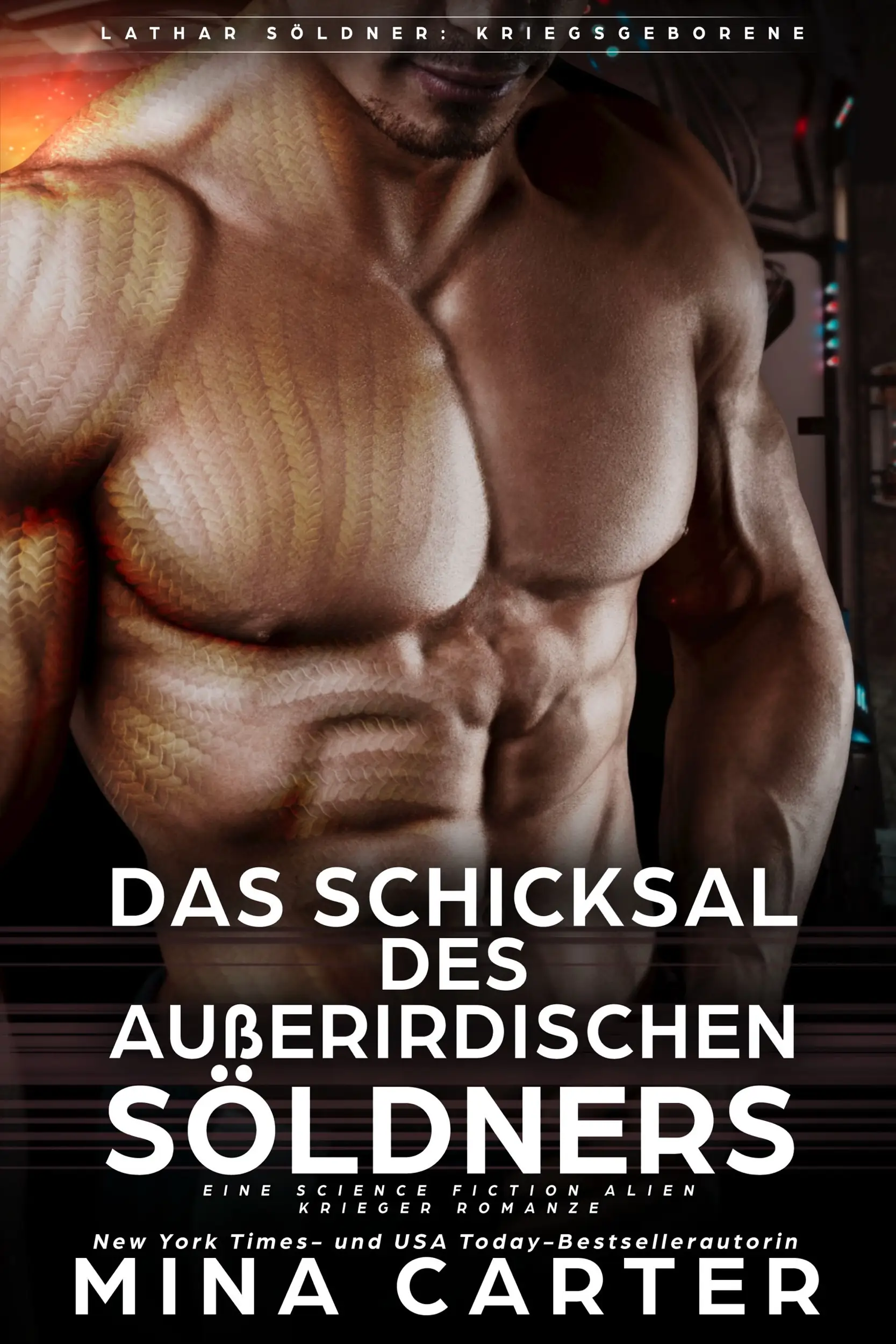 Das Schicksal des außerirdischen Söldners