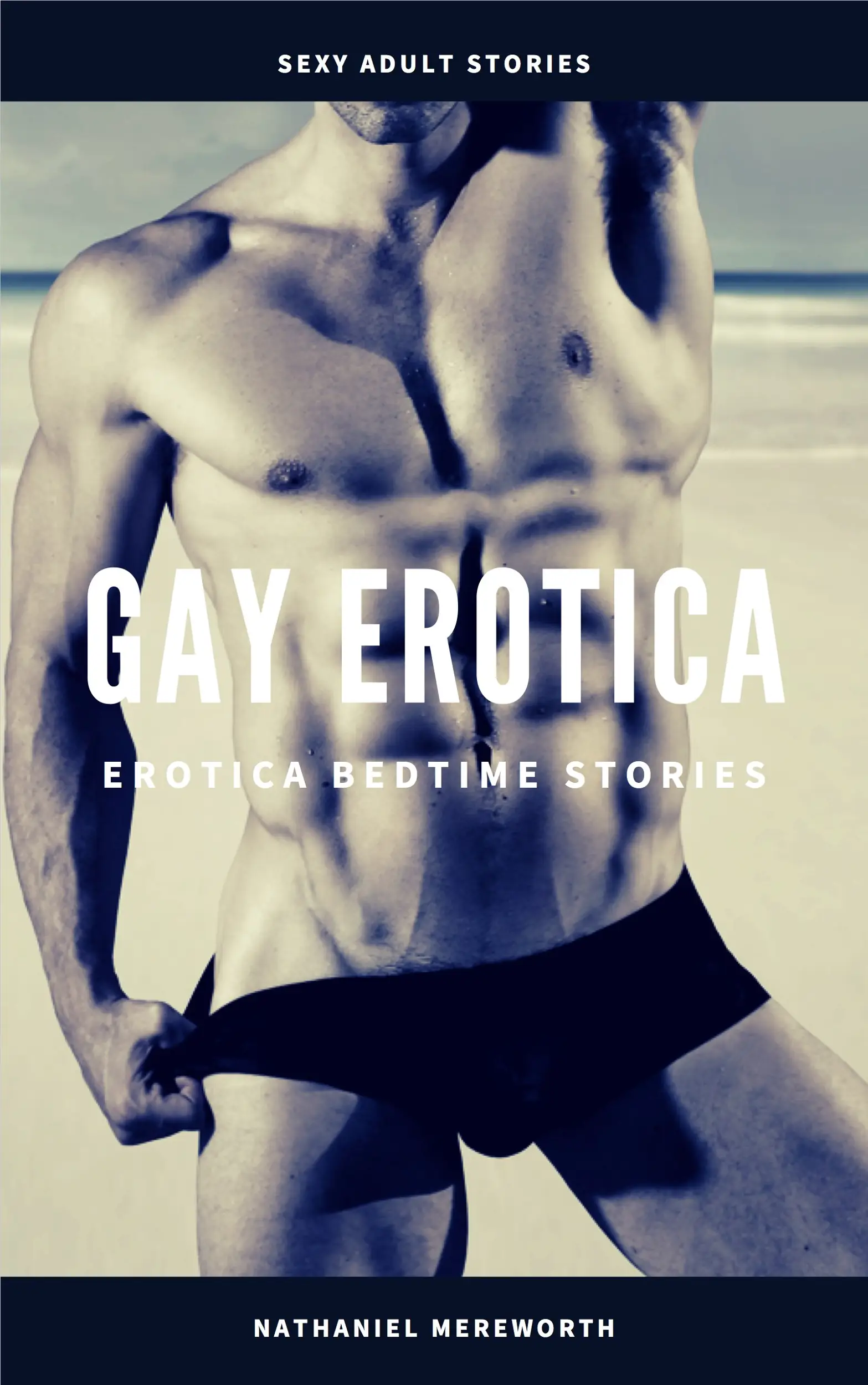 Gay Erotica