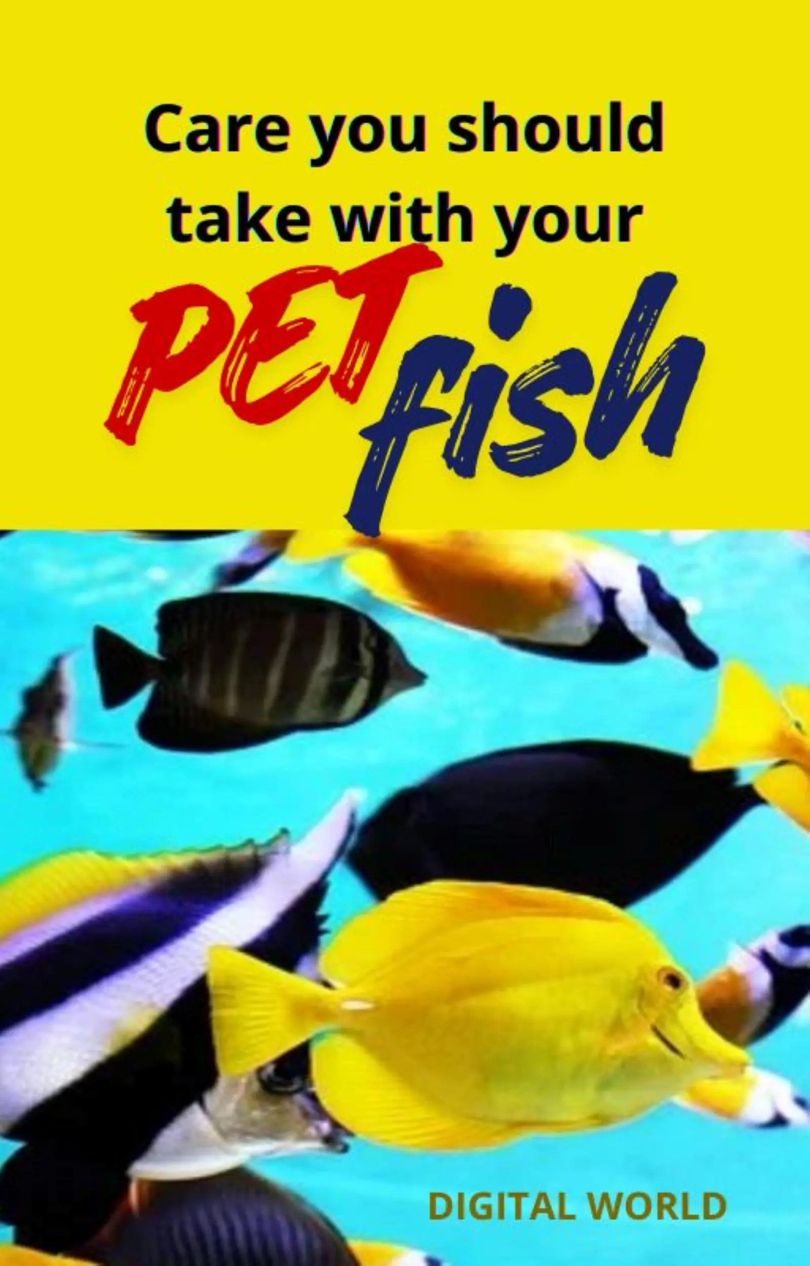 Care you should take with your pet fish