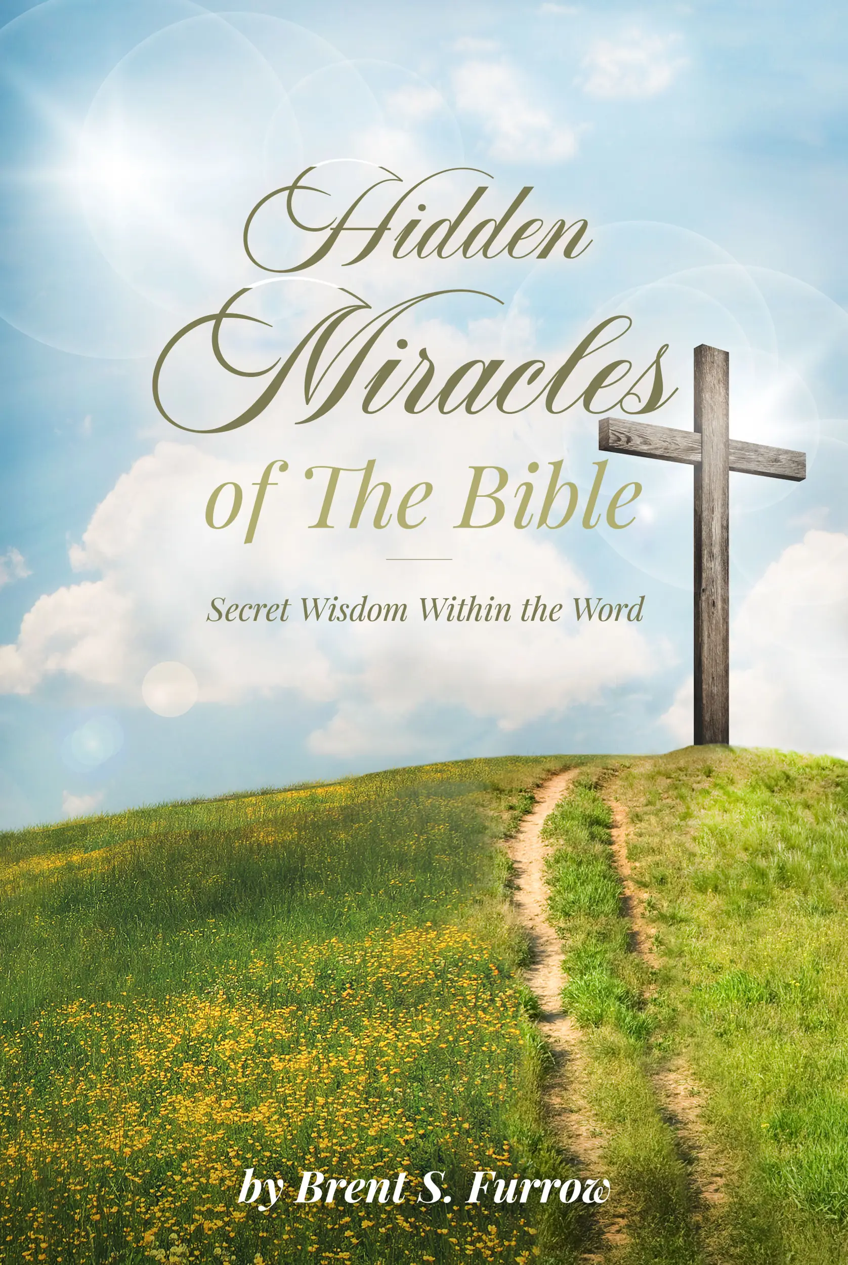 Hidden Miracles of the Bible
