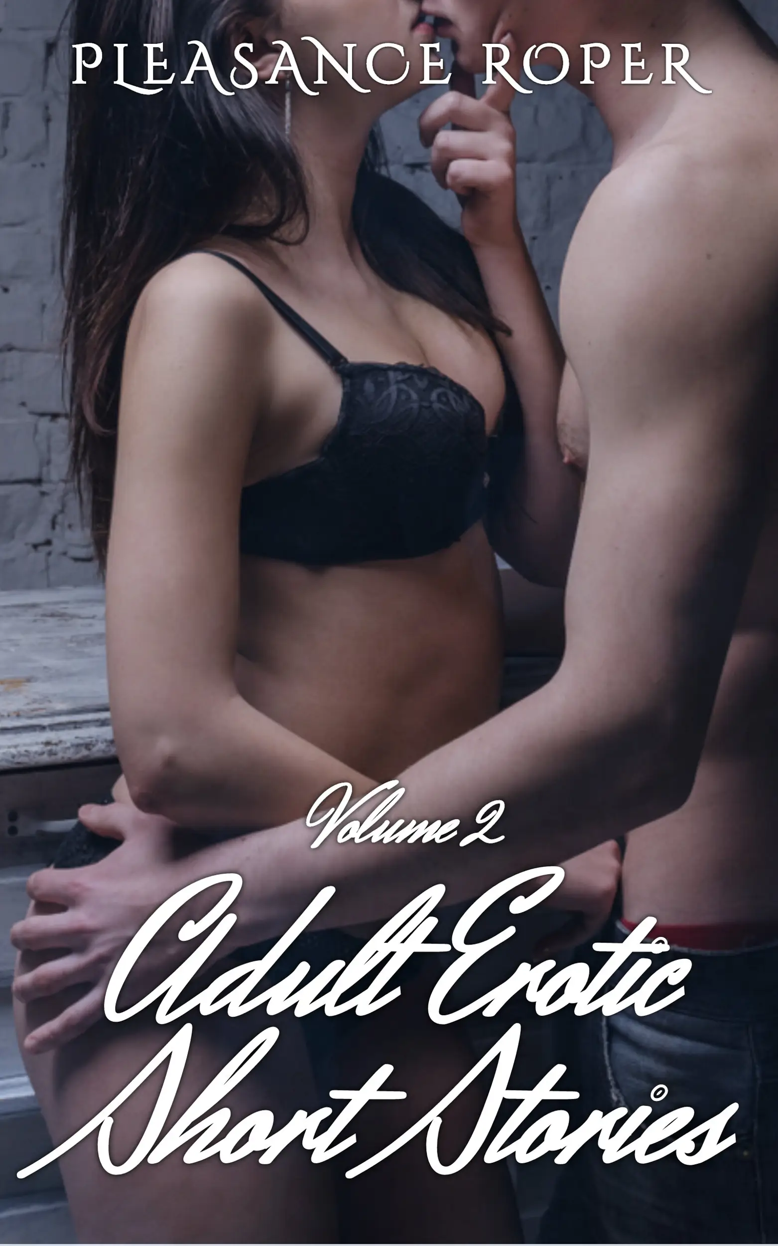 Adult Erotic Short Stories - Volume 2