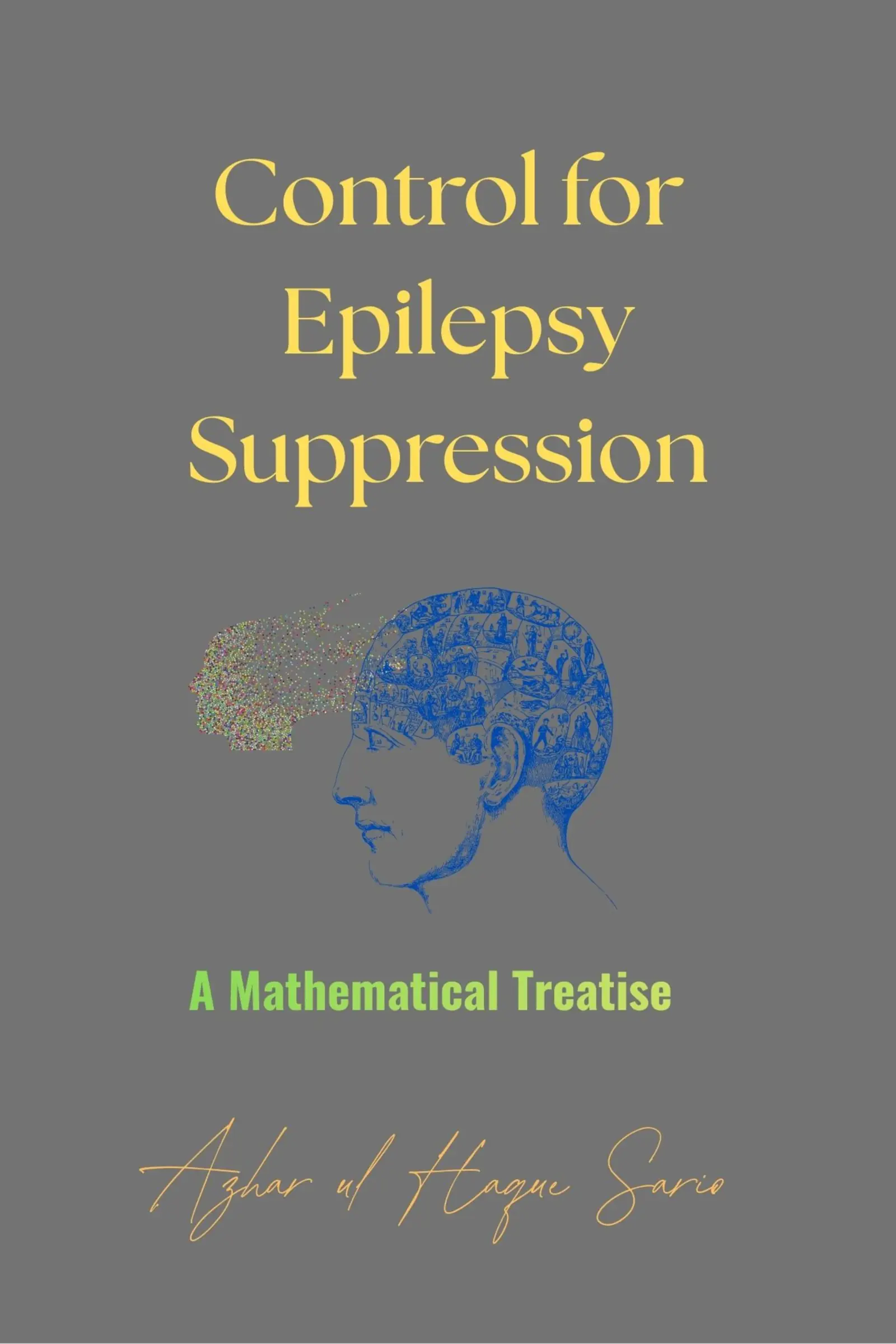Control for Epilepsy Suppression