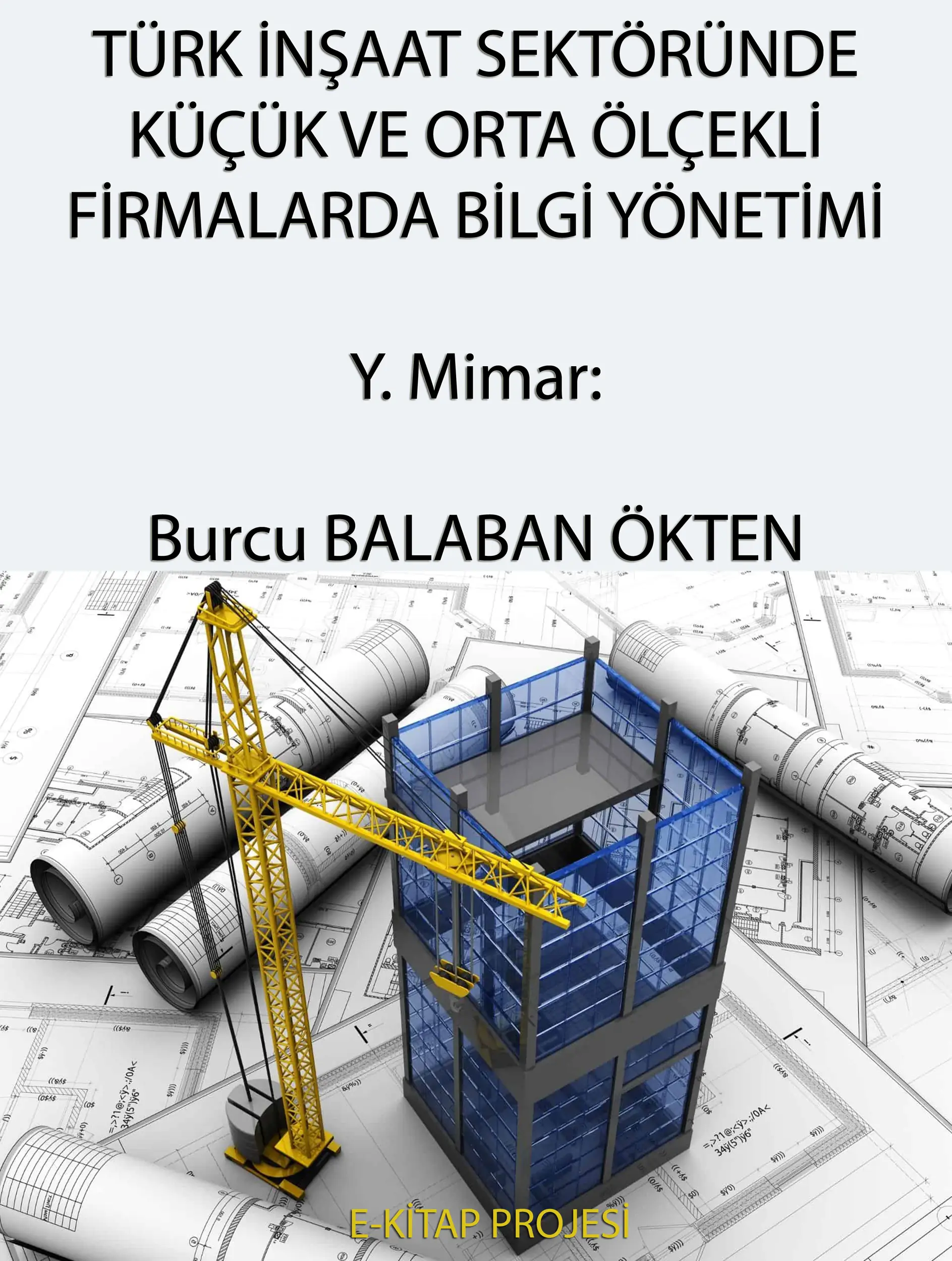 Türk İnşaat Sektöründe Küçük ve Orta Ölçekli Firmalarda Bilgi Yönetimi