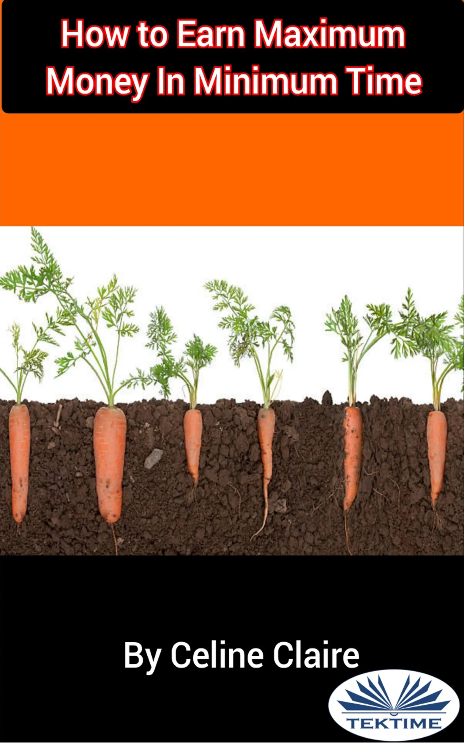 How To Earn Maximum Money In Minimum Time