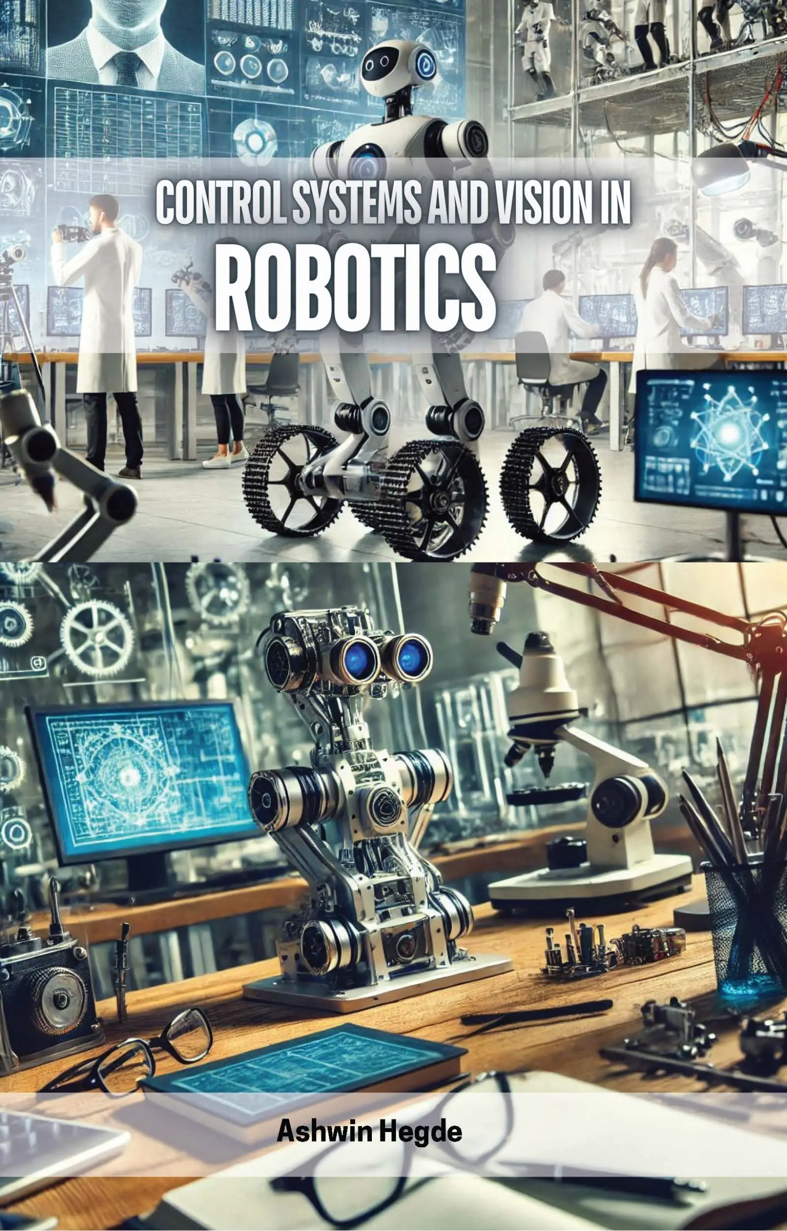 Control Systems and Vision in Robotics