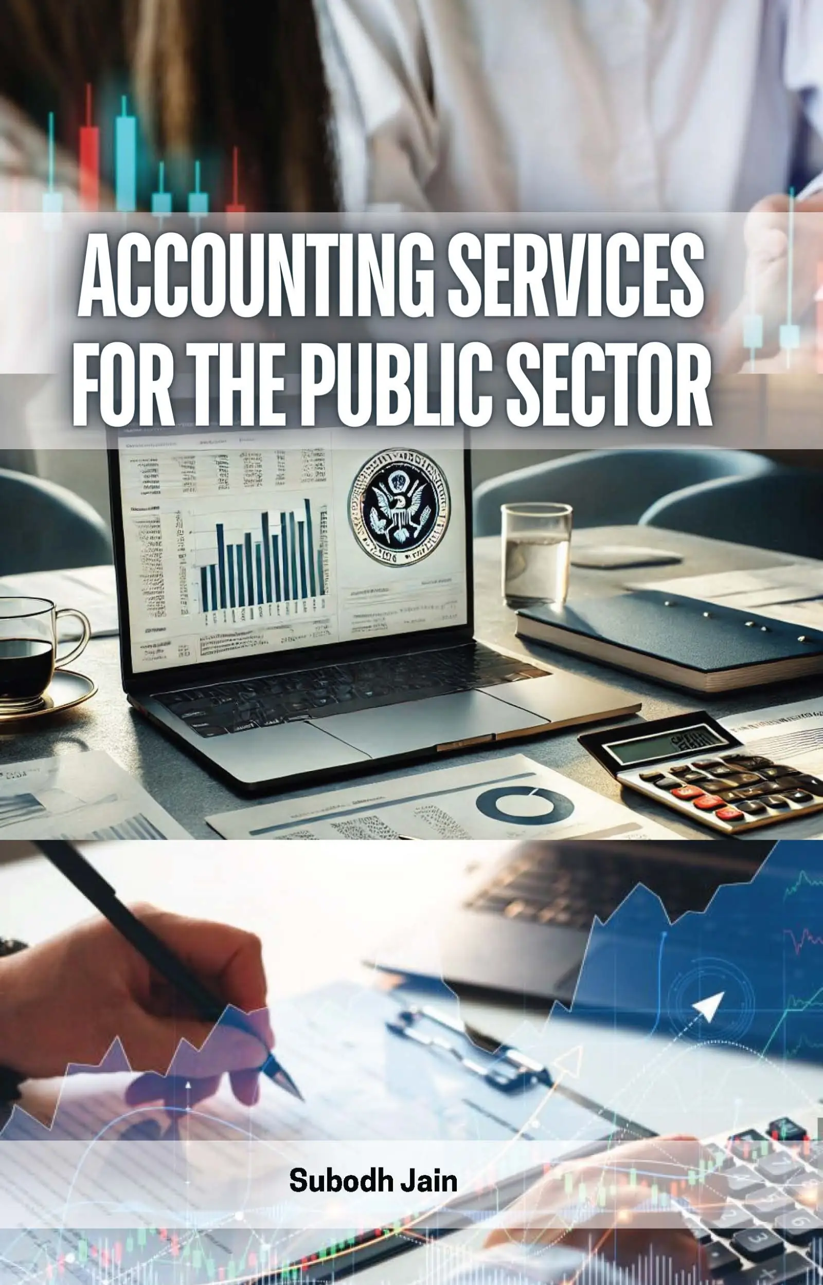Accounting Services for the Public Sector