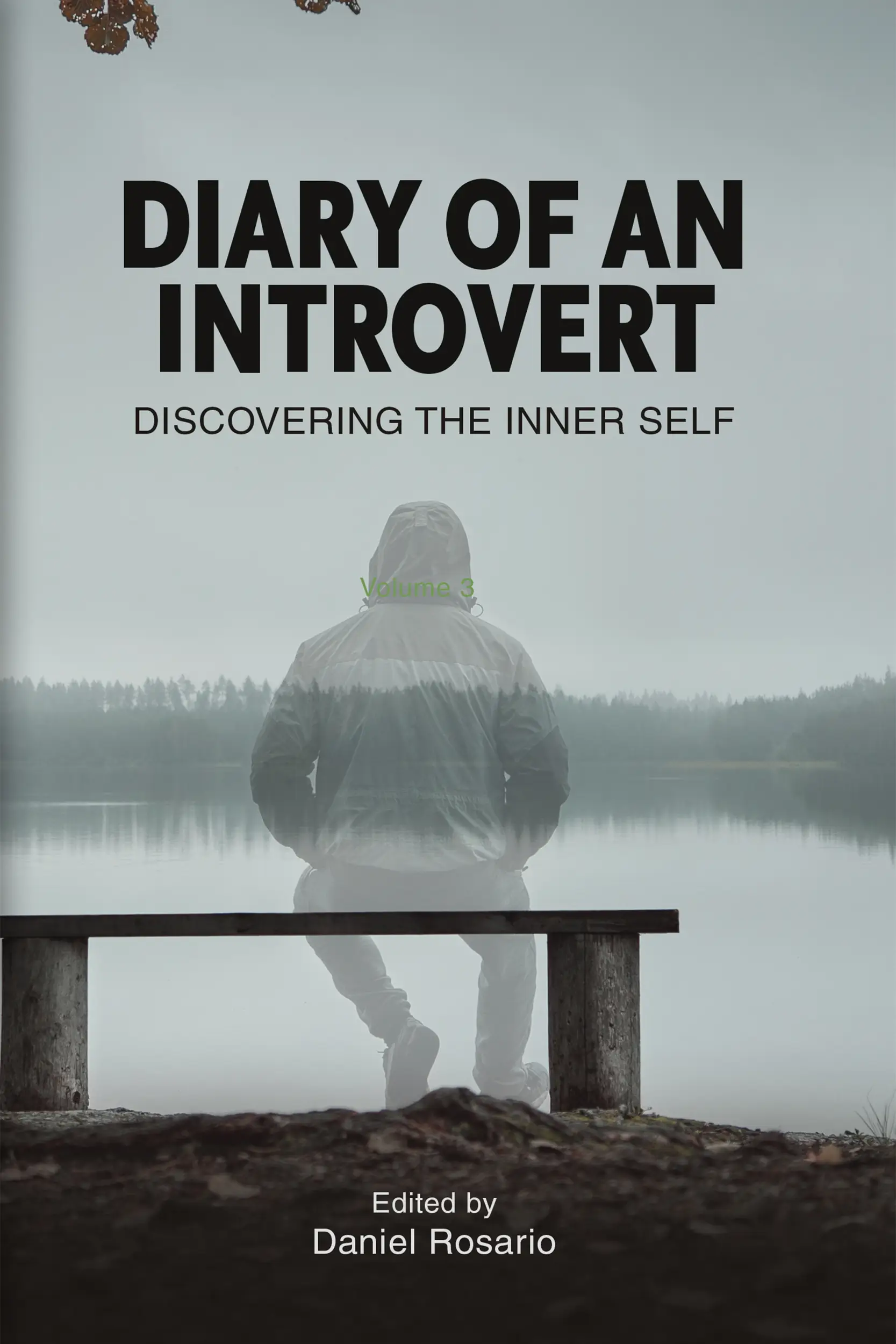 Diary Of An Introvert