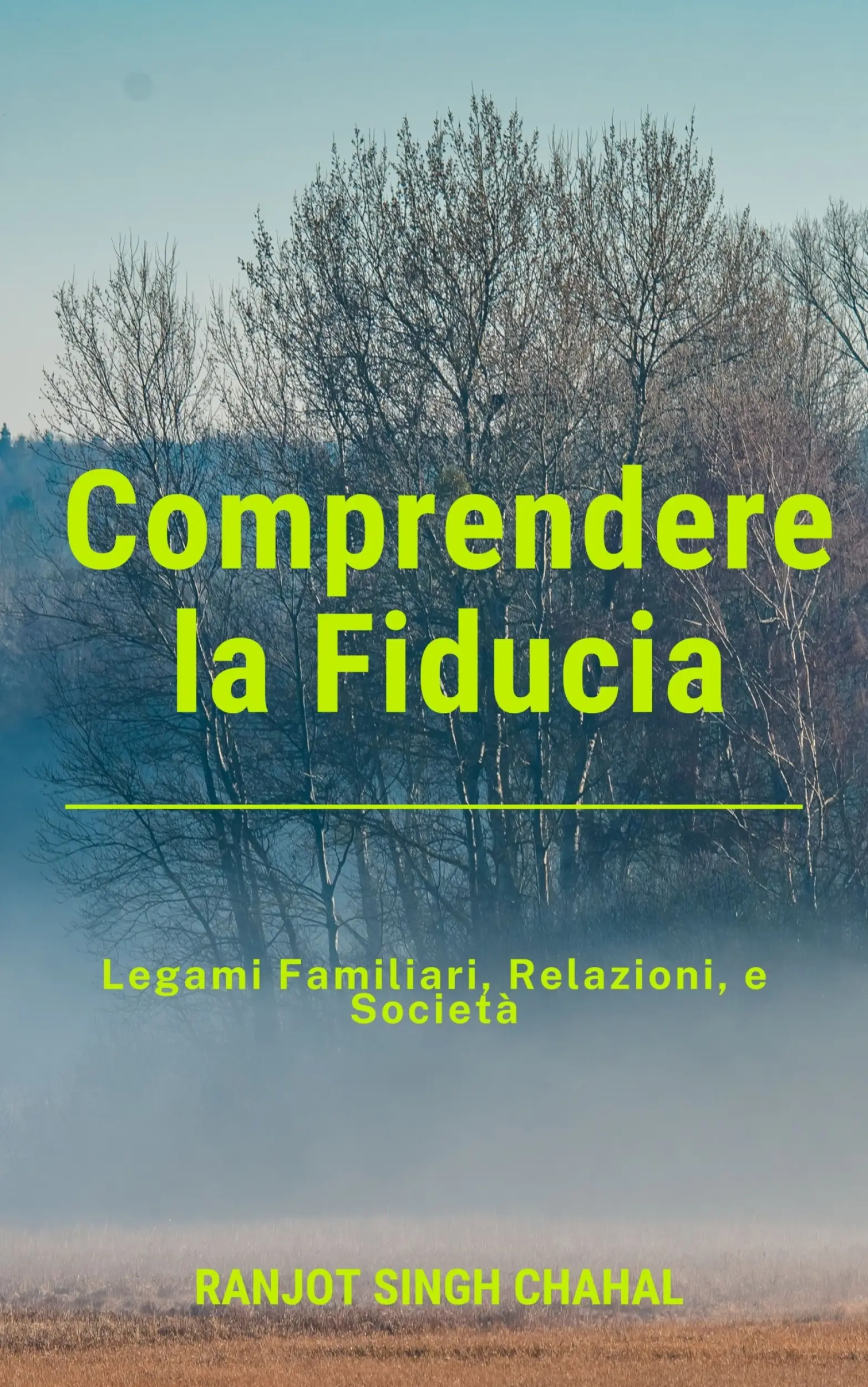 Comprendere la Fiducia