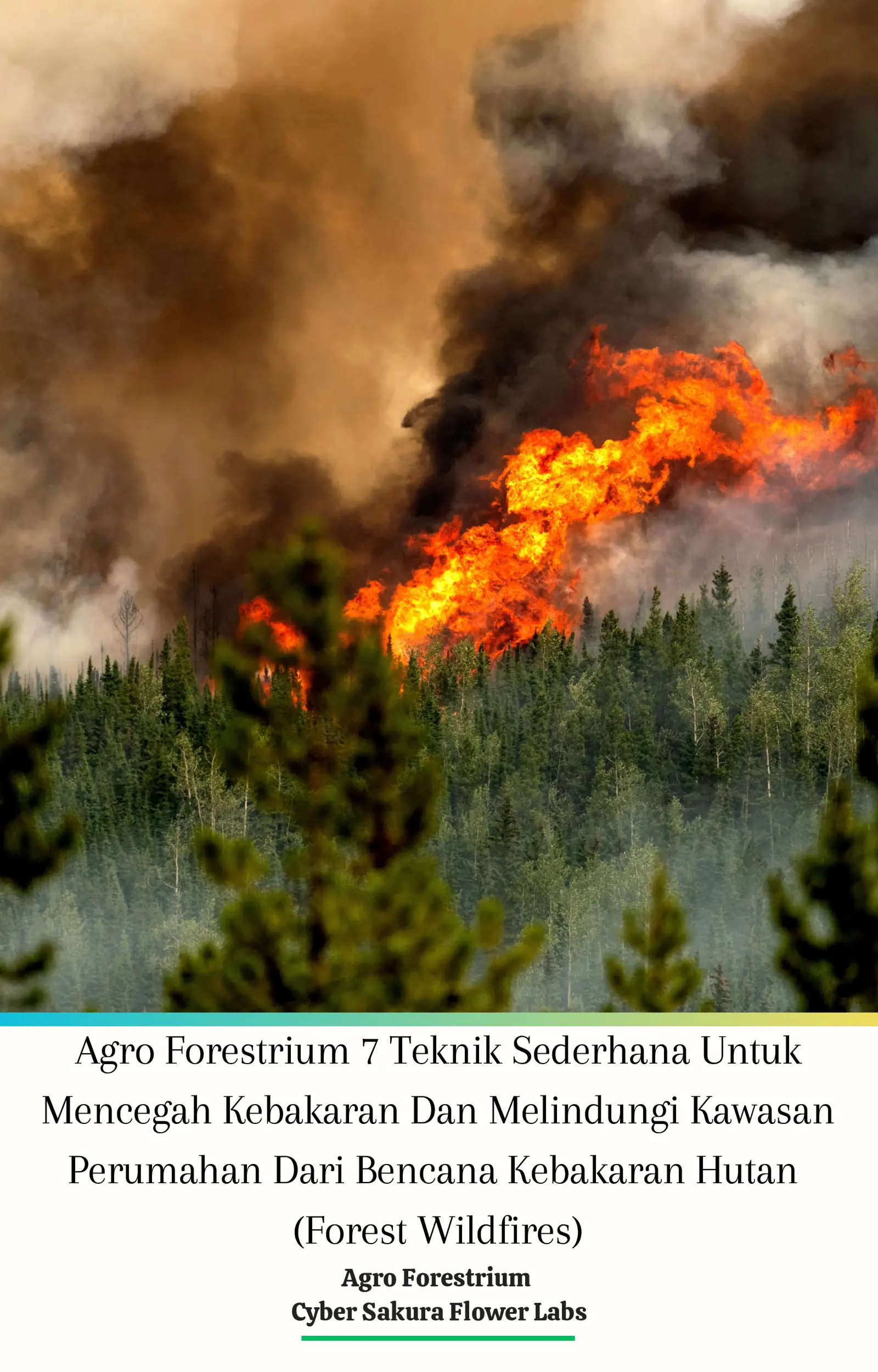 Agro Forestrium 7 Teknik Sederhana Untuk Mencegah Kebakaran Dan Melindungi Kawasan Perumahan Dari Bencana Kebakaran Hutan (Forest Wildfires)