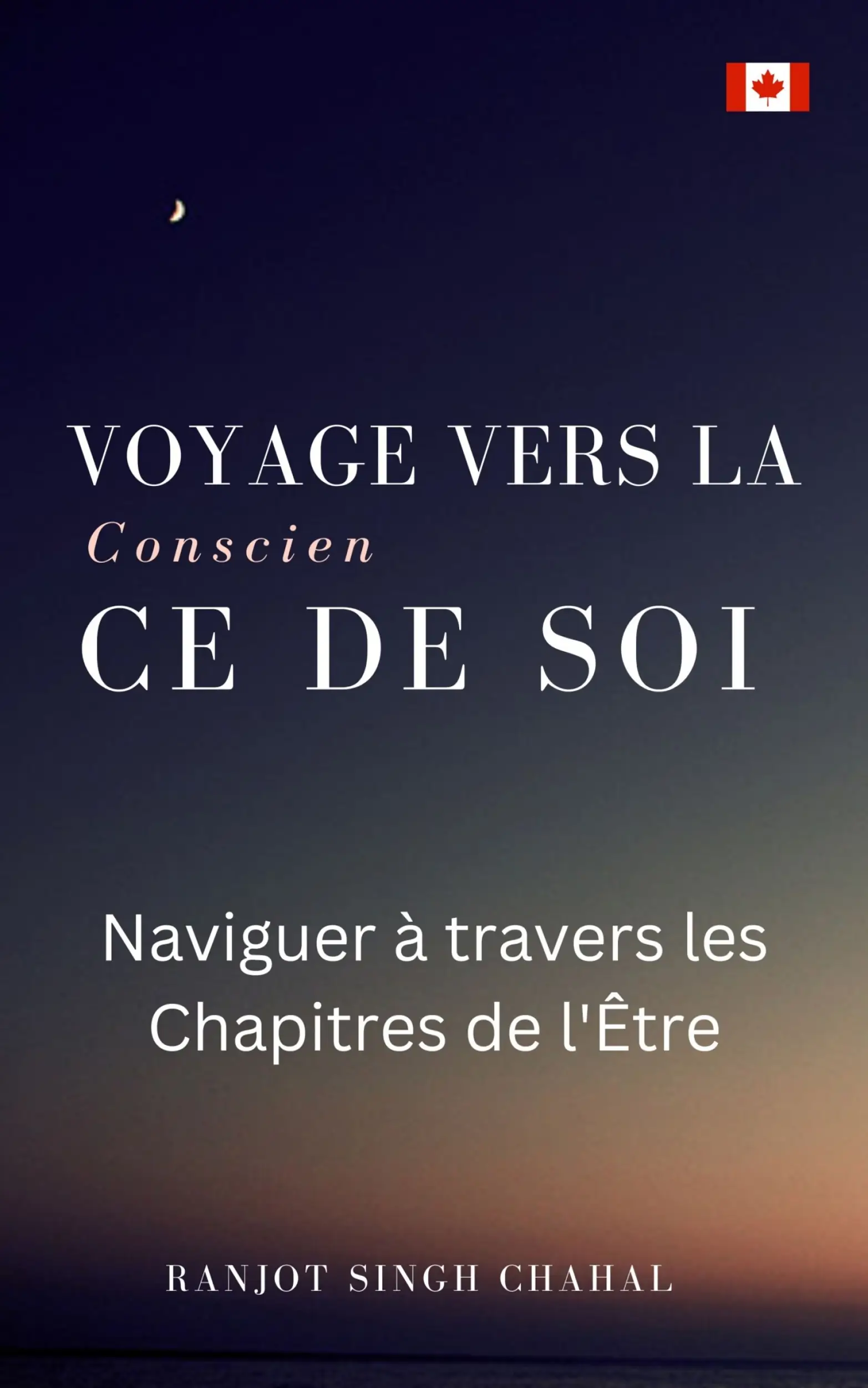 Voyage vers la Conscience de Soi