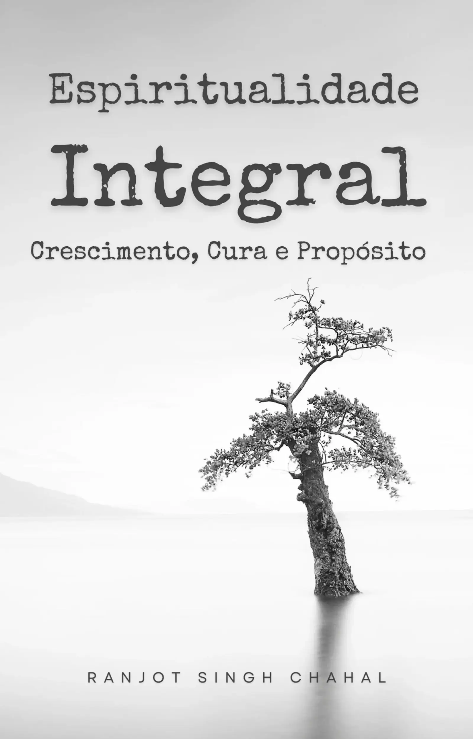 Espiritualidade Integral