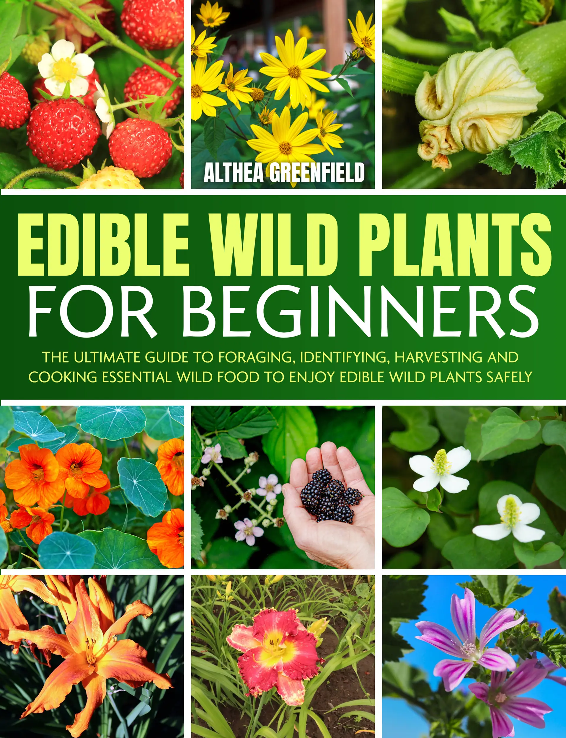 The Complete Guide To Edible Wild Plants For Beginners