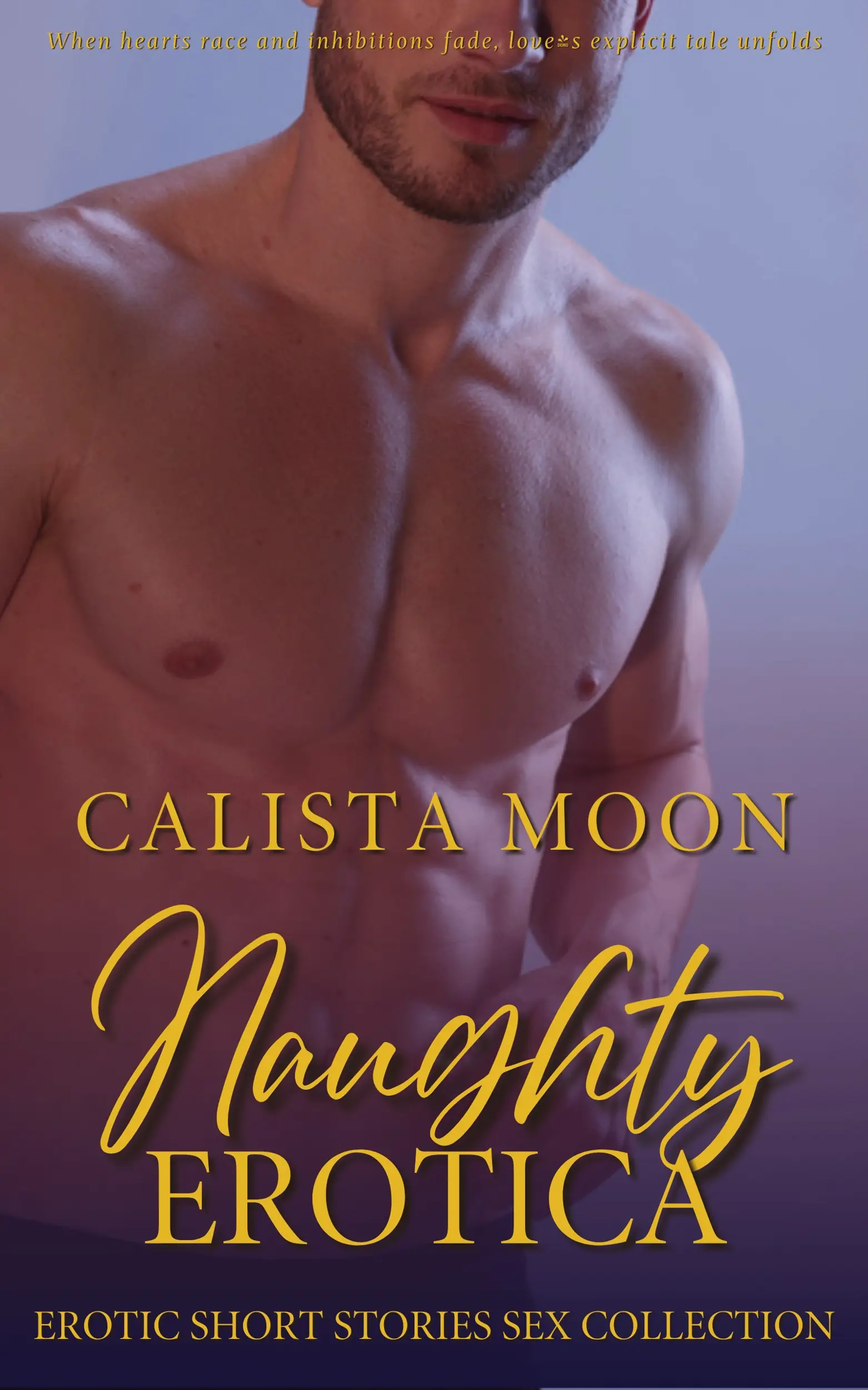 Naughty Erotica
