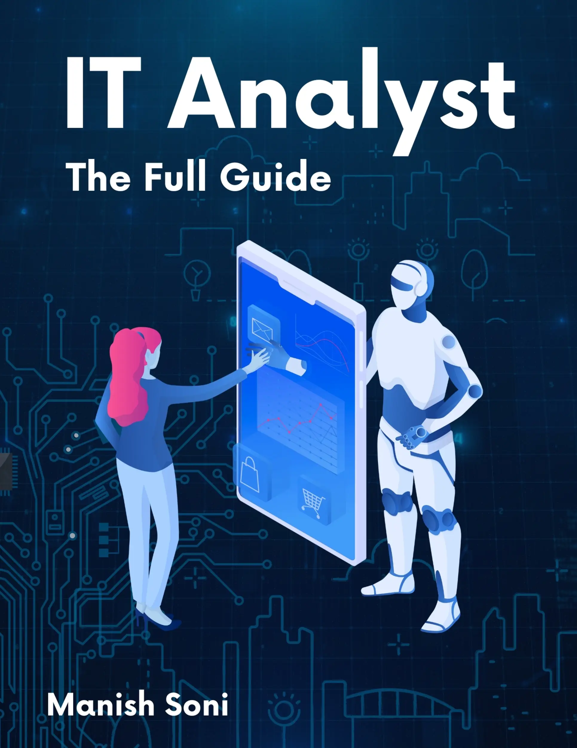 IT Analyst Internship