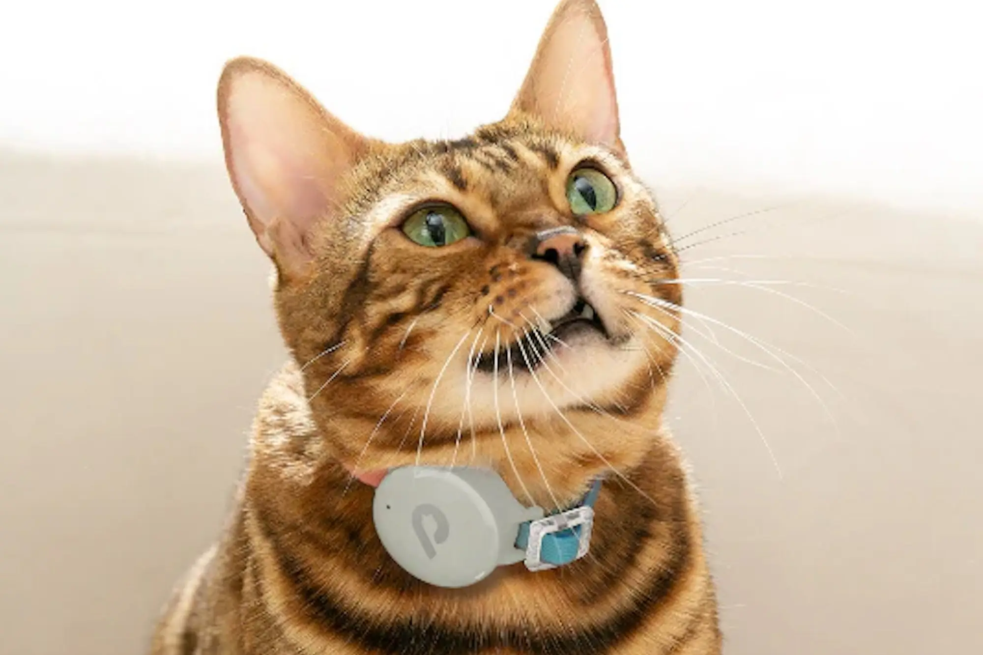 5 of the Strangest Products at CES 2026, Including One That Lets You 'Chat' With Your Cat