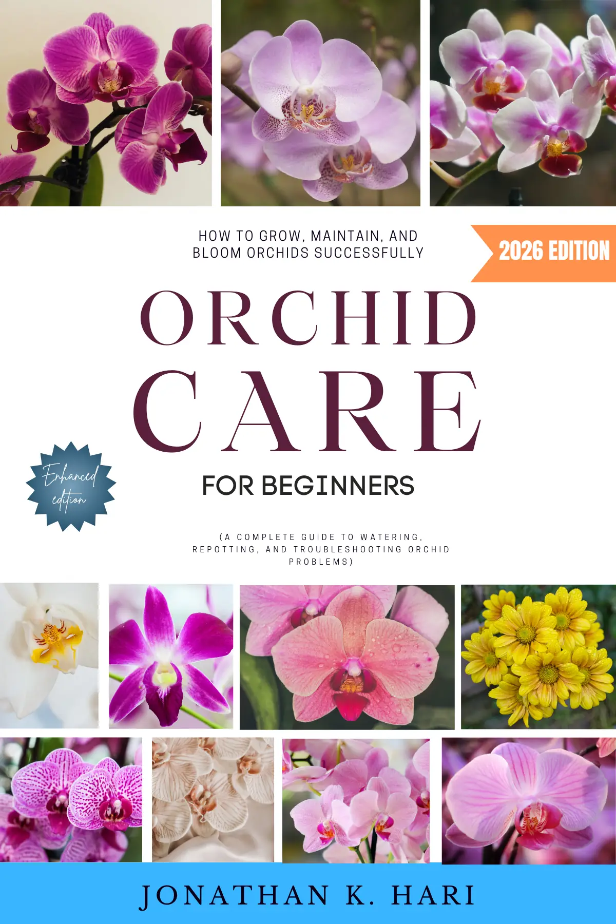Orchid Care for Beginners
