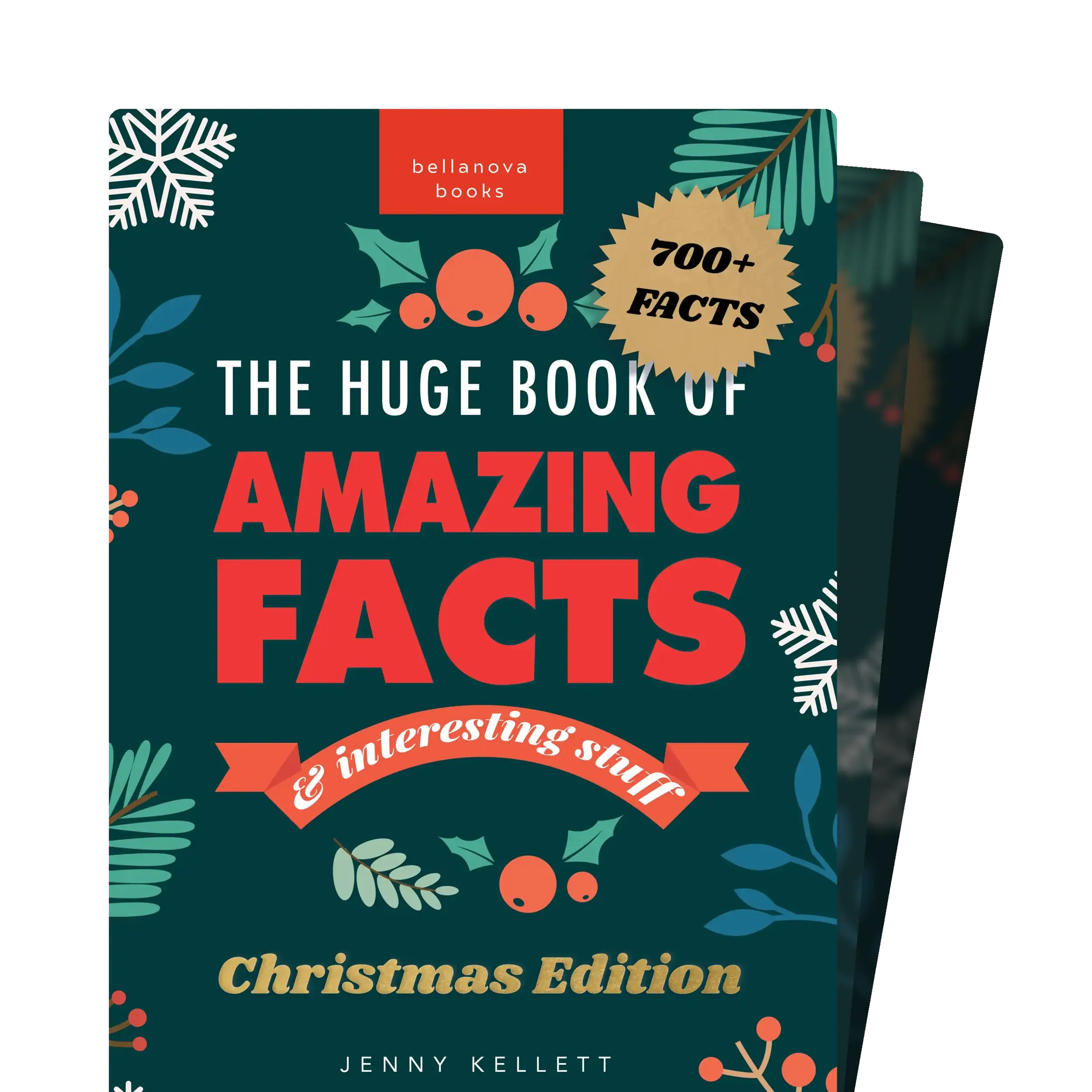 Christmas Fun Facts