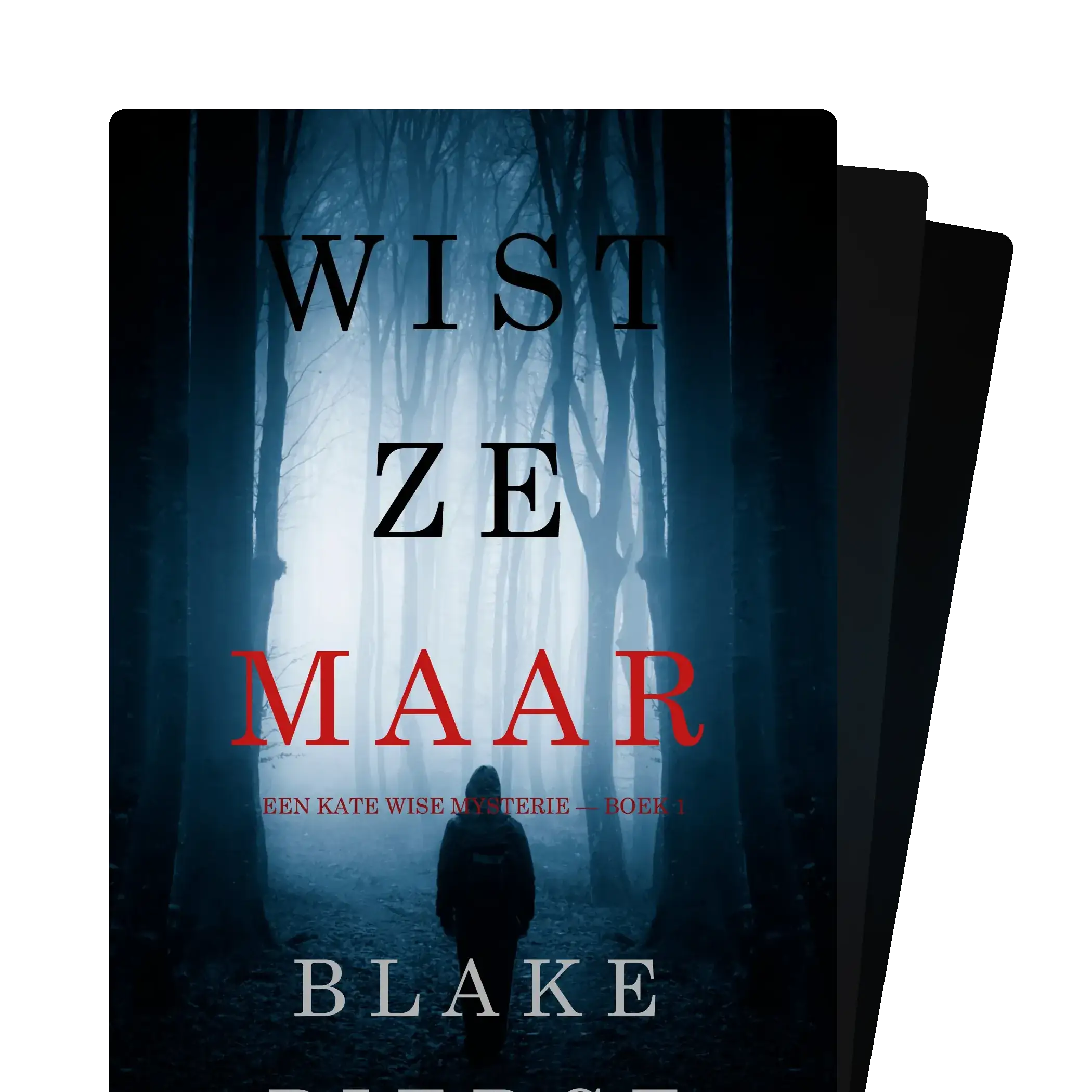 Een Kate Wise Mysterie