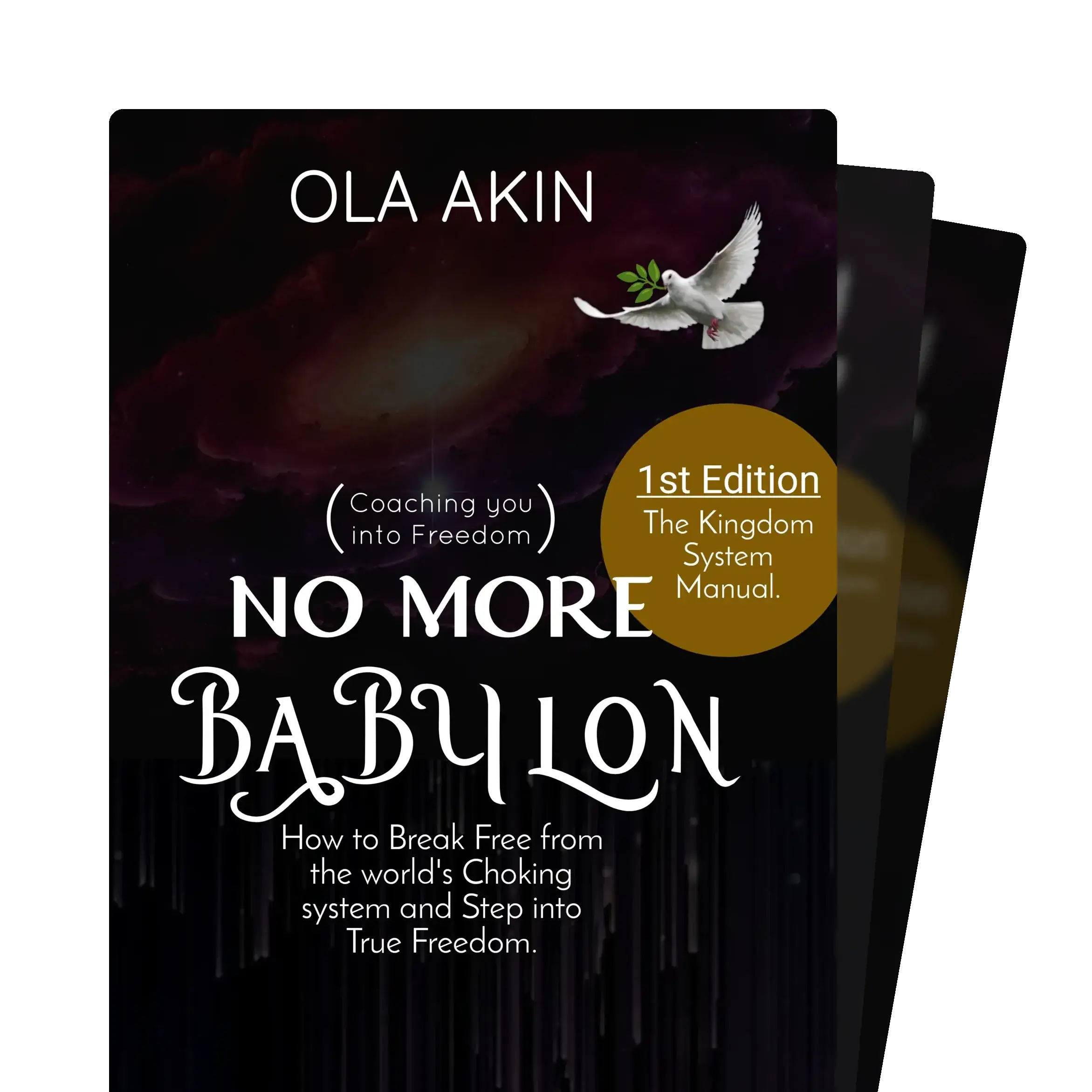 Coaching you into Freedom