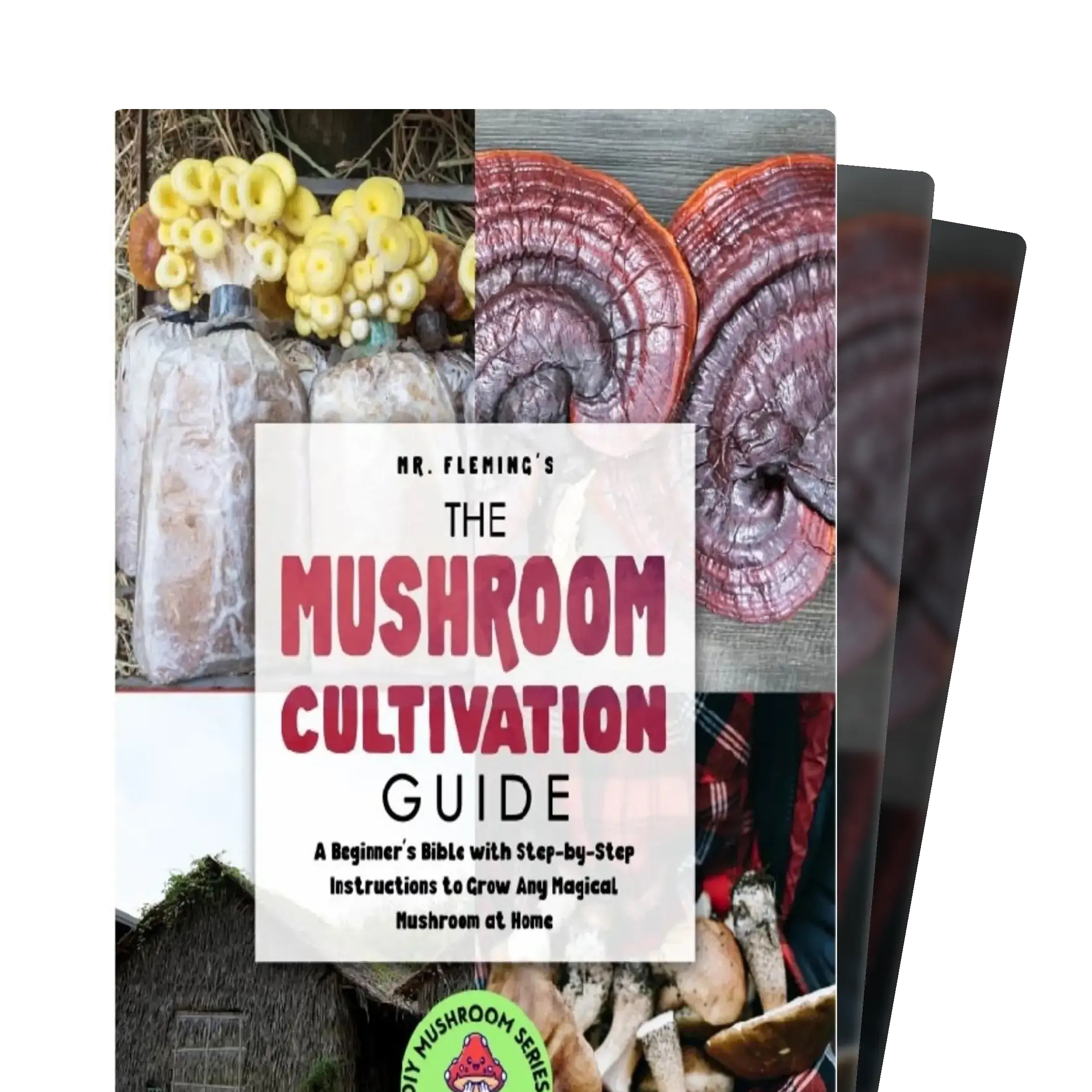 DIY Mushroom