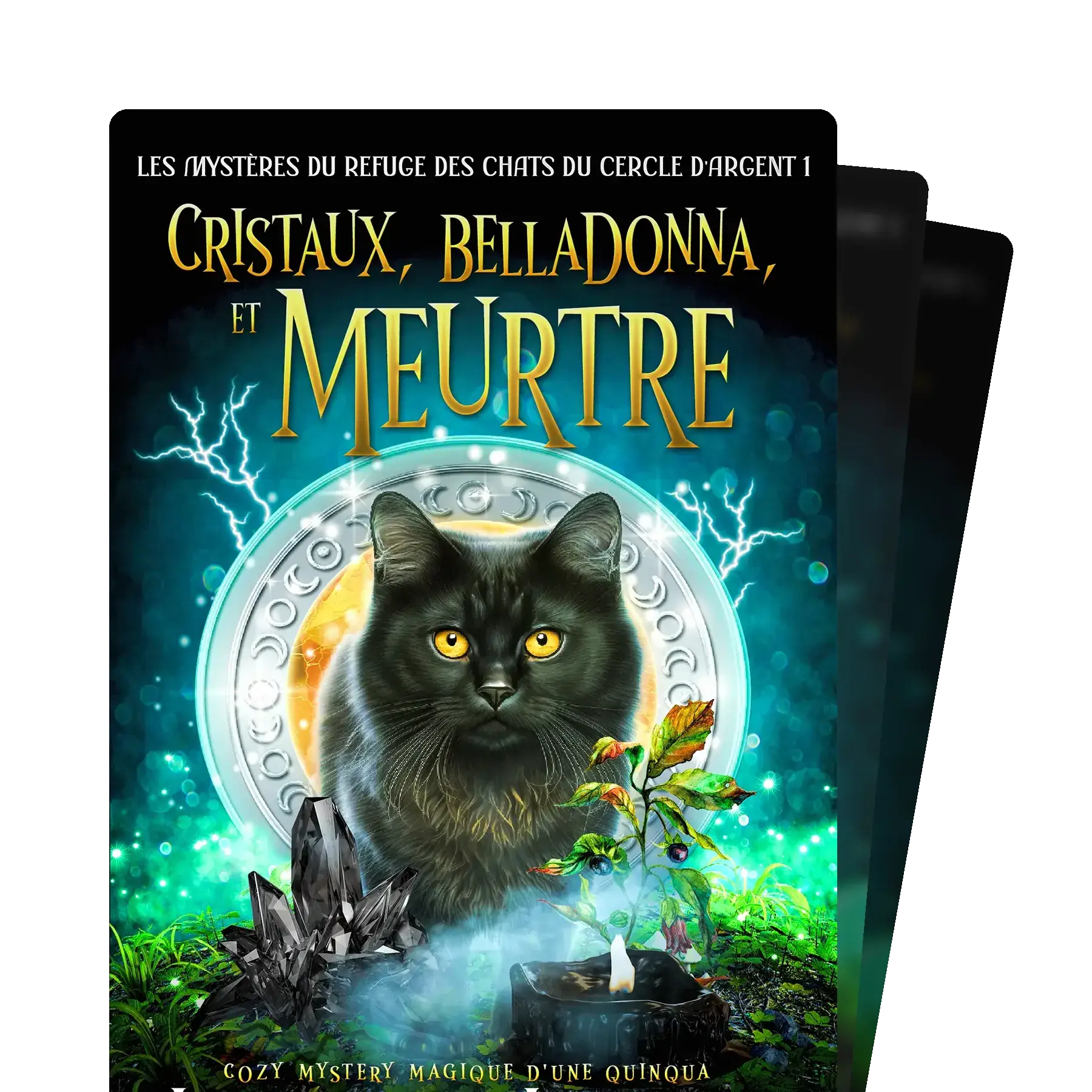 Les Mystères du Refuge des Chats du Cercle d'Argent