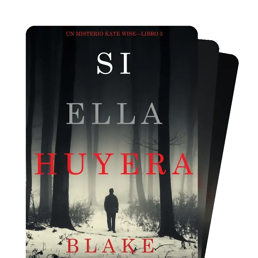 Un Misterio Kate Wise