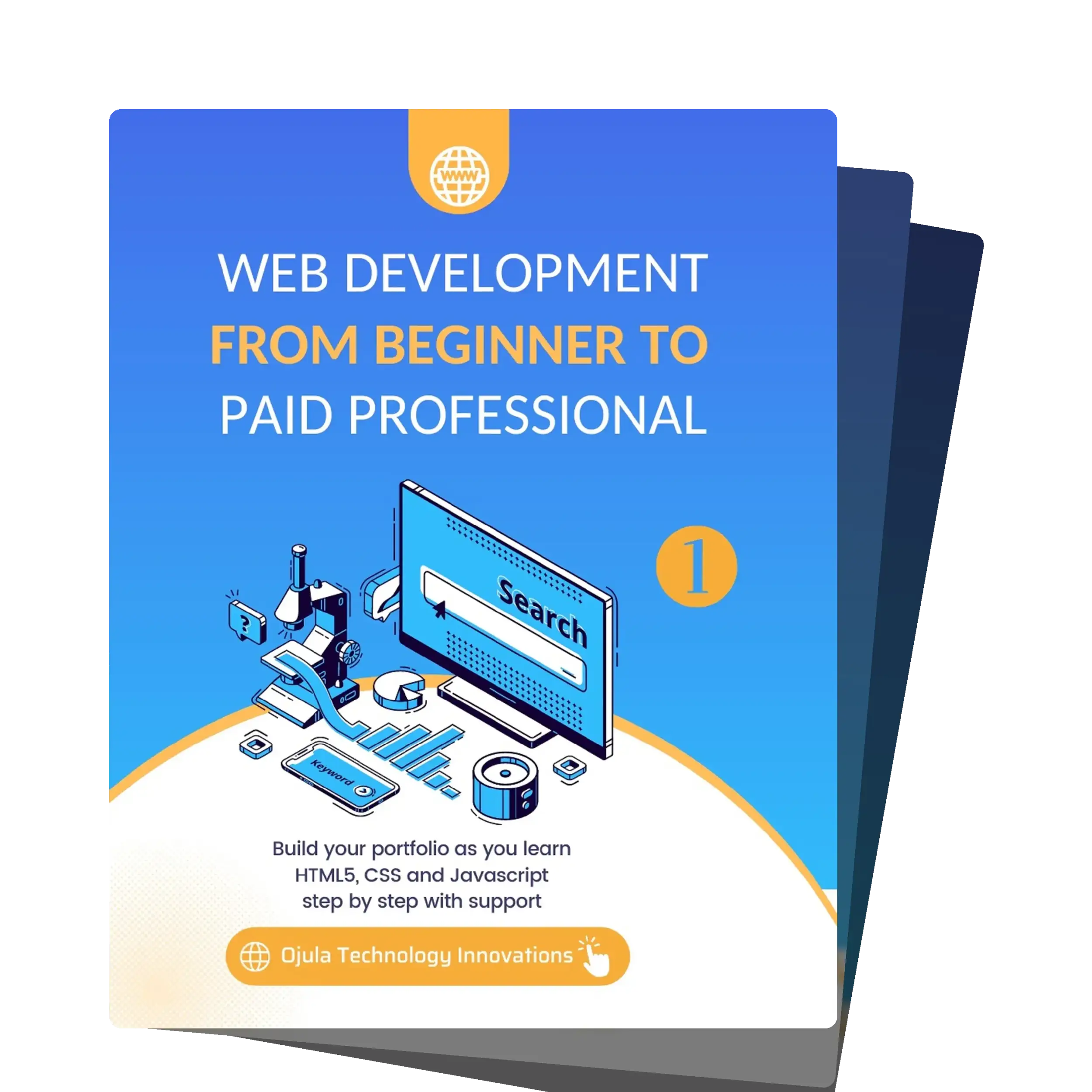 Web Development from Beginner to Paid Professional
