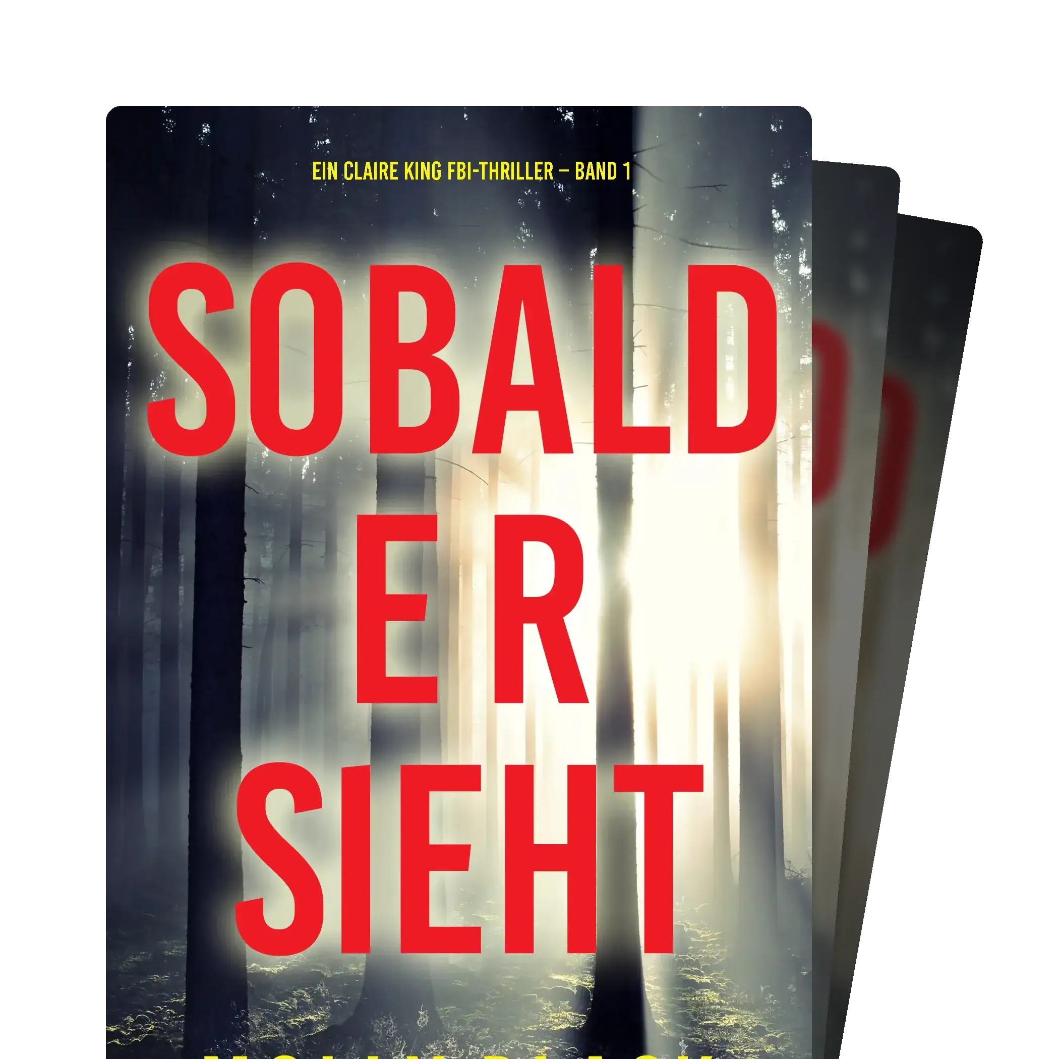 Ein Claire King FBI-Thriller 
