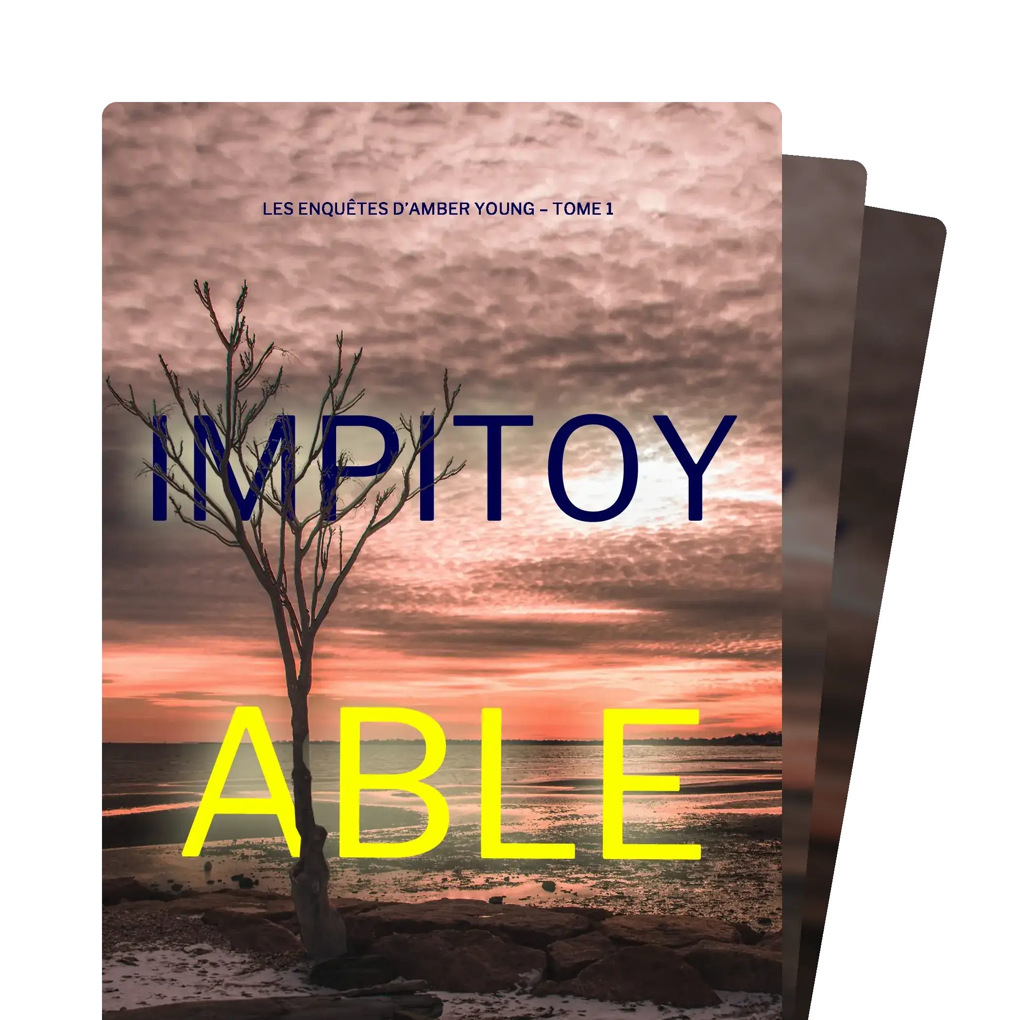 Les enquêtes d’Amber Young