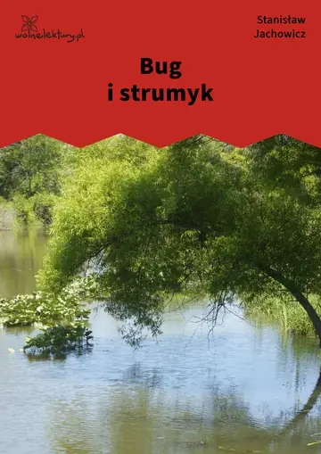 Bug i strumyk