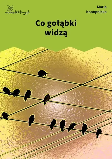 Co gołąbki widzą