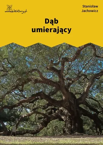 Dąb umierający