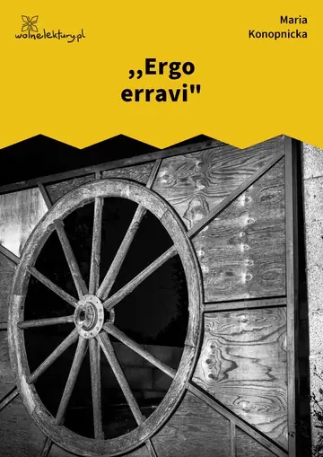 ,,Ergo erravi"