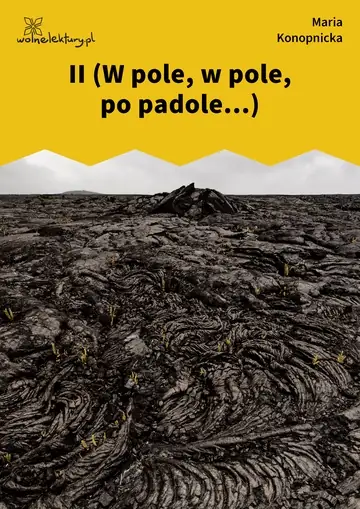 II (W pole, w pole, po padole...)