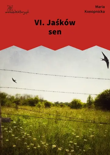 VI. Jaśków sen