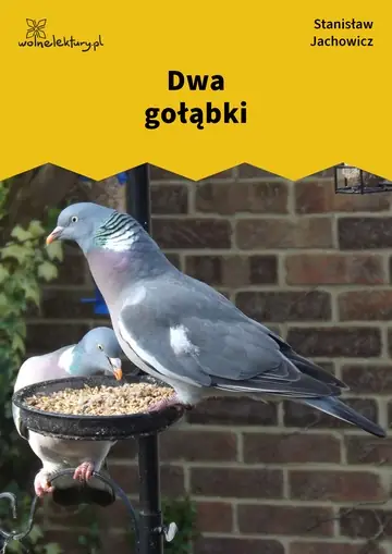 Dwa gołąbki