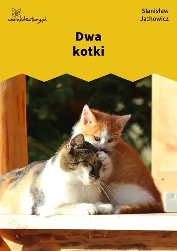 Dwa kotki