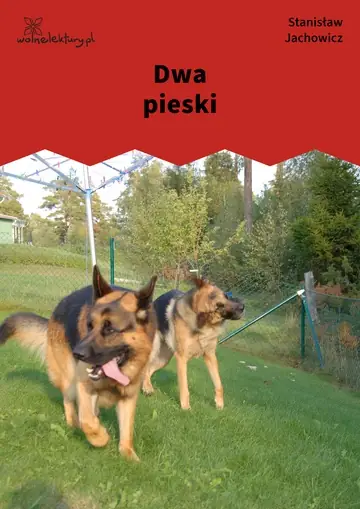 Dwa pieski
