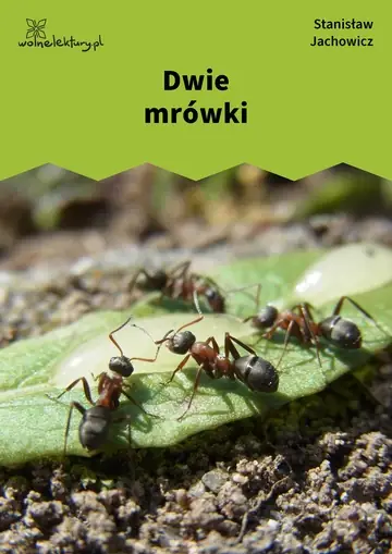Dwie mrówki