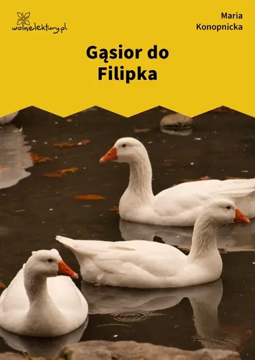 Gąsior do Filipka
