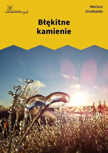 Błękitne kamienie